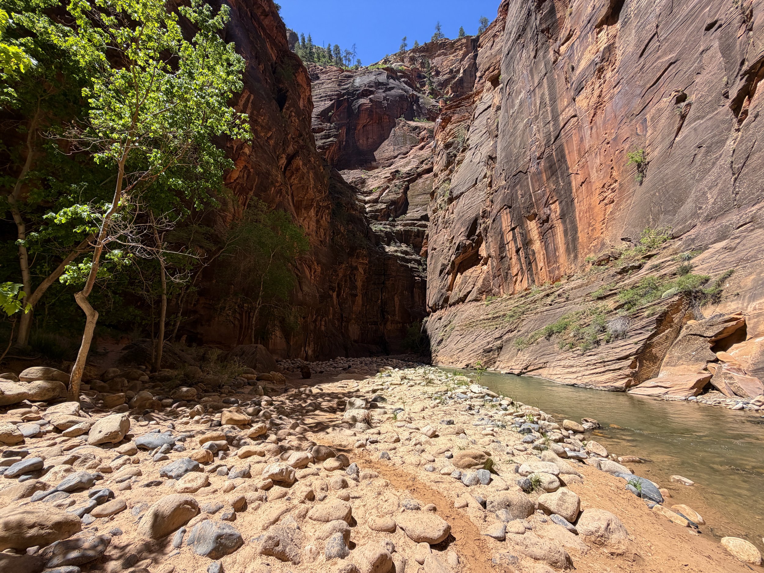 The Narrows Trail Zion National Park Utah
