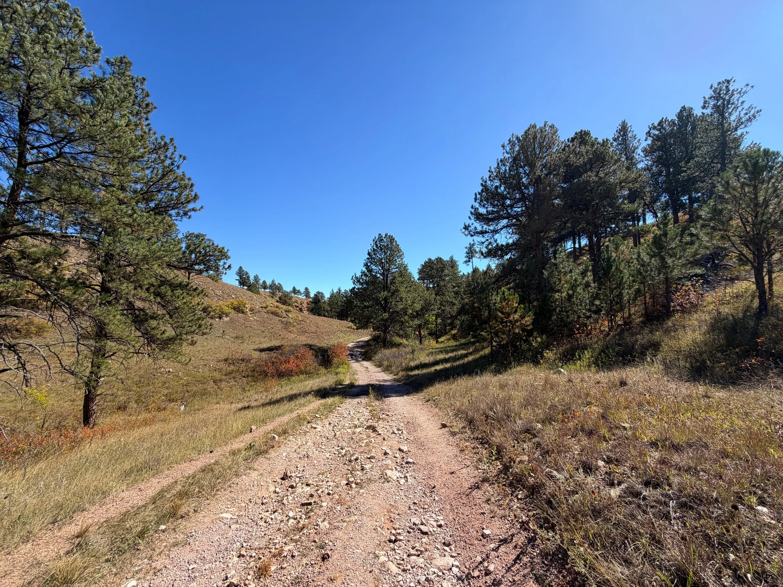 Wind Cave Canyon Trail Wind Cave National Park South Dakota