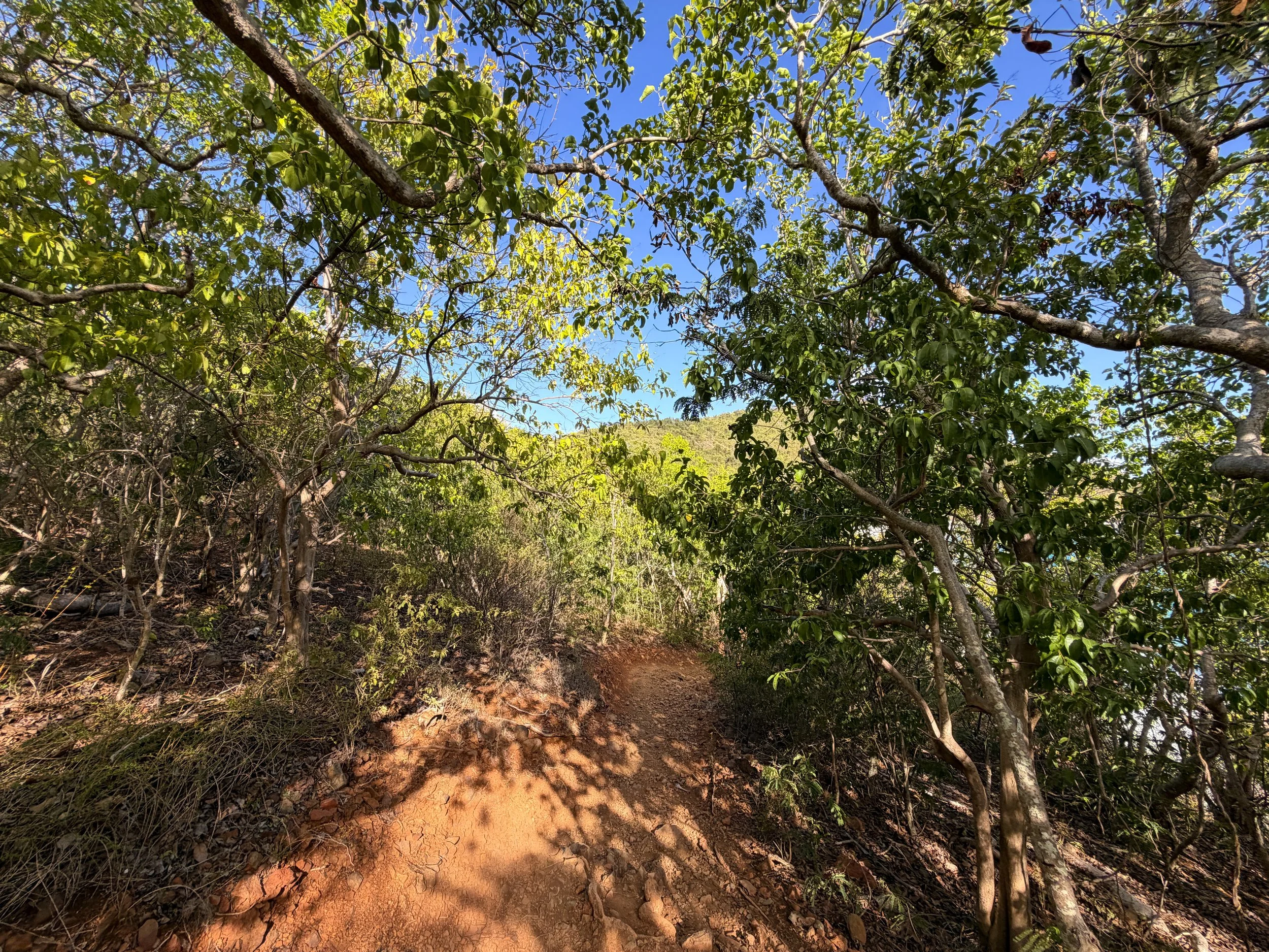 Rams Head Trail Virgin Islands National Park