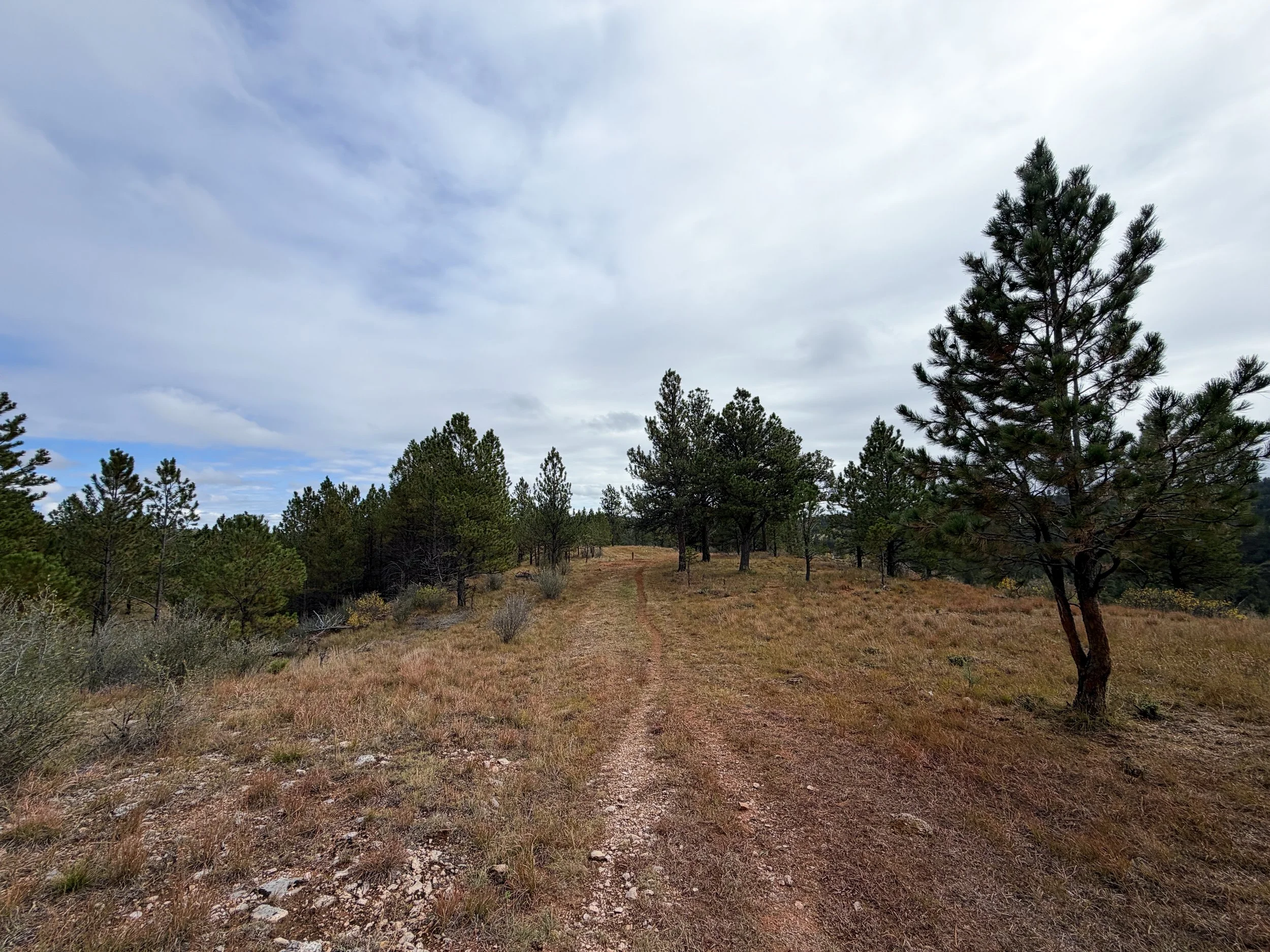 Highland Creek Trail to Wind Cave Canyon Wind Cave National Park South Dakota