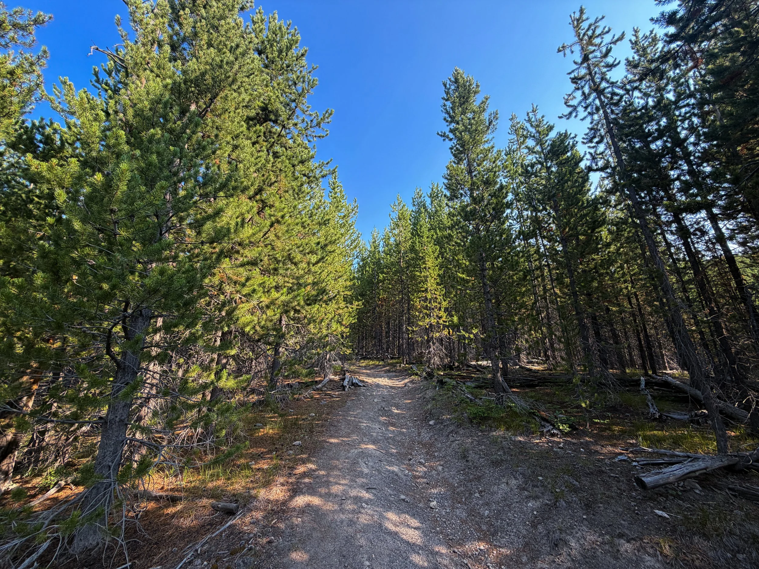 Mystic Falls Trail Yellowstone National Park Wyoming
