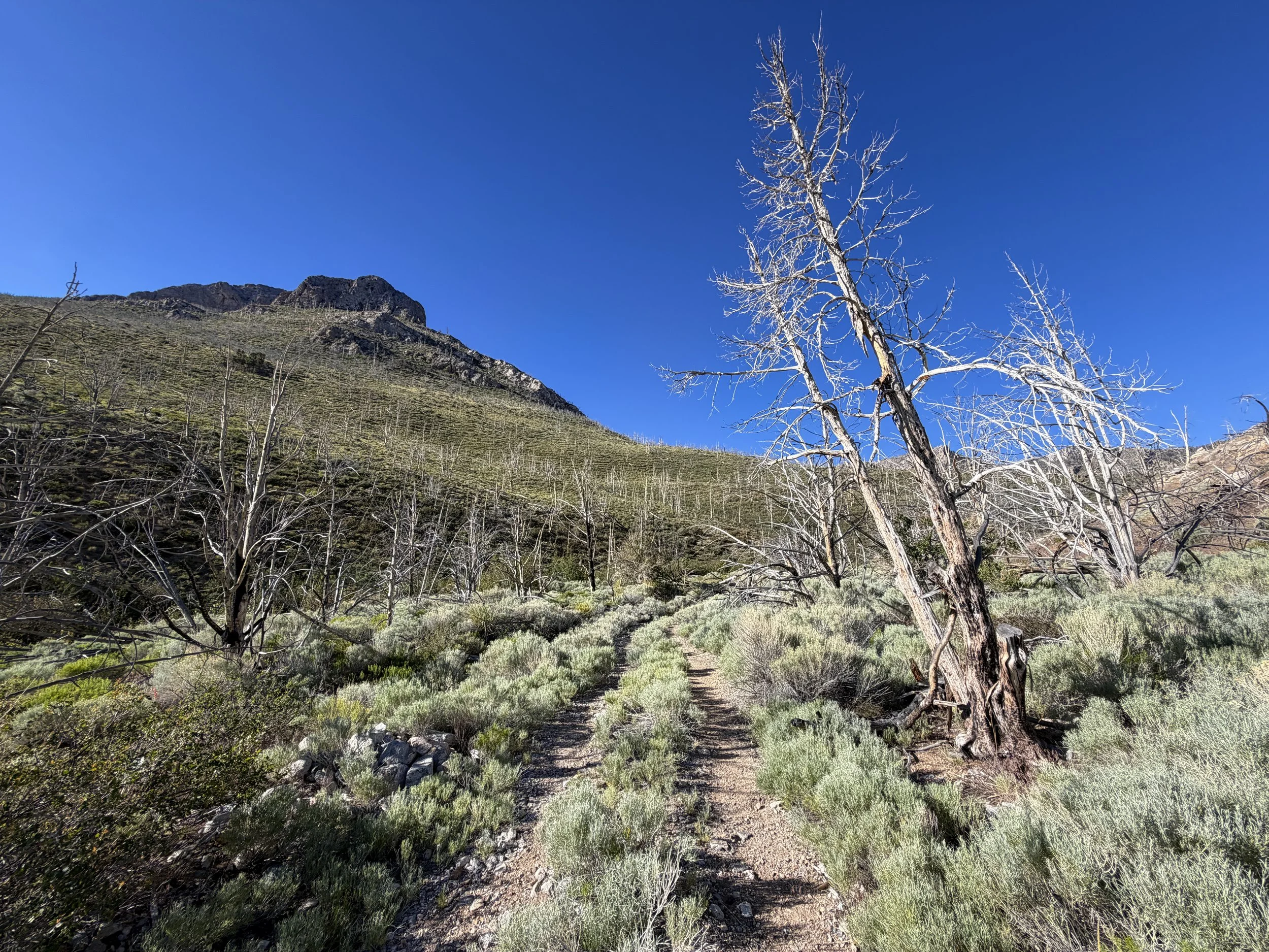 Lexington Arch Trail Great Basin National Park Nevada