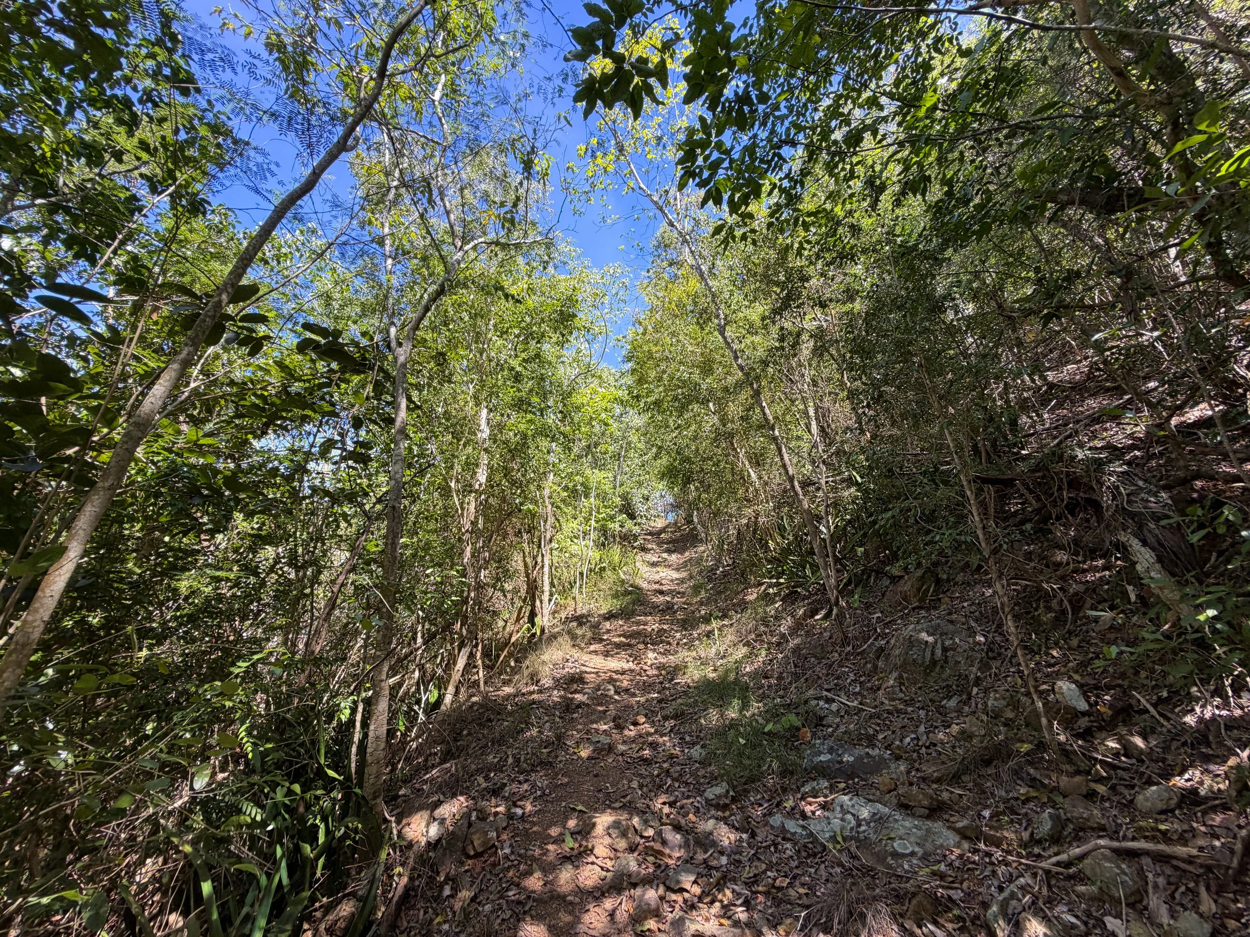 Lameshur Bay Trail to Reef Bay Great House Virgin Islands National Park