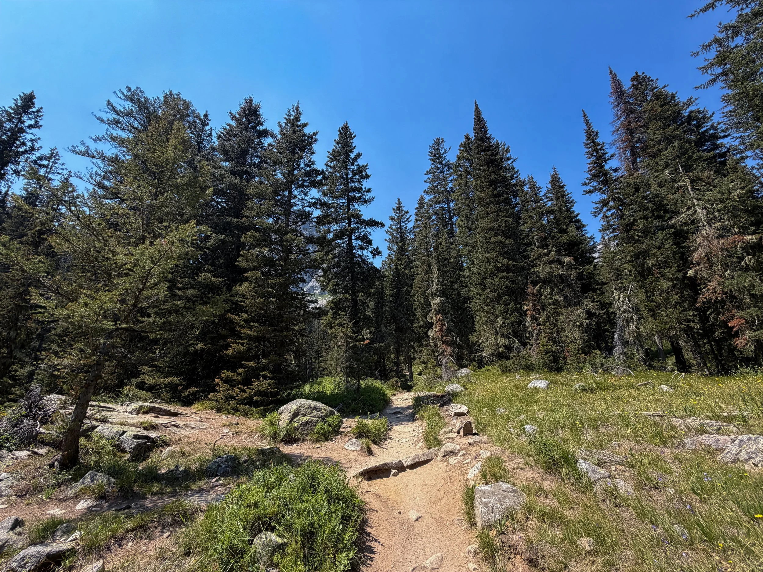 Cascade Canyon Trail Grand Teton National Park Wyoming