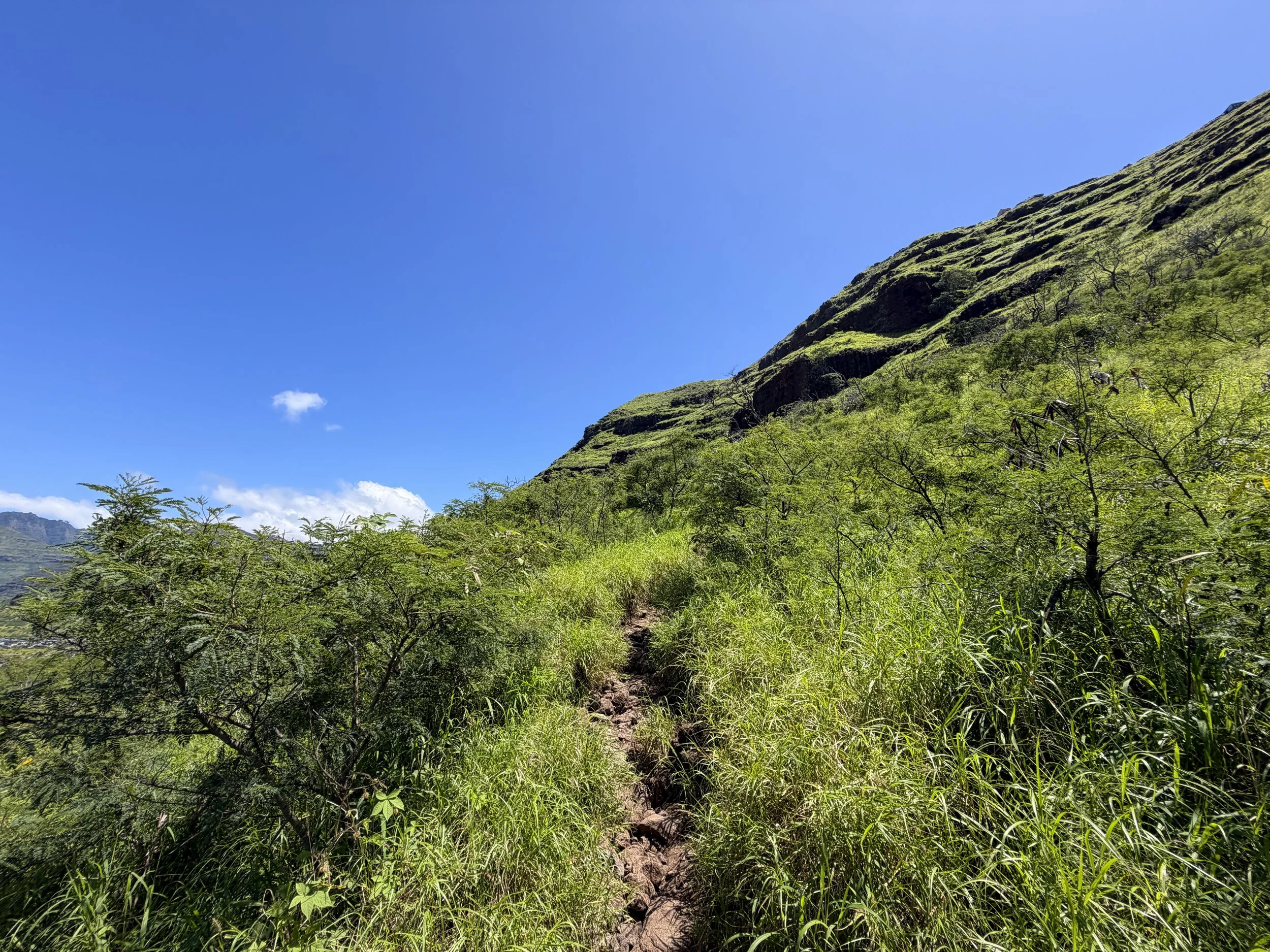 Pink Pillbox Trail Oahu Hawaii