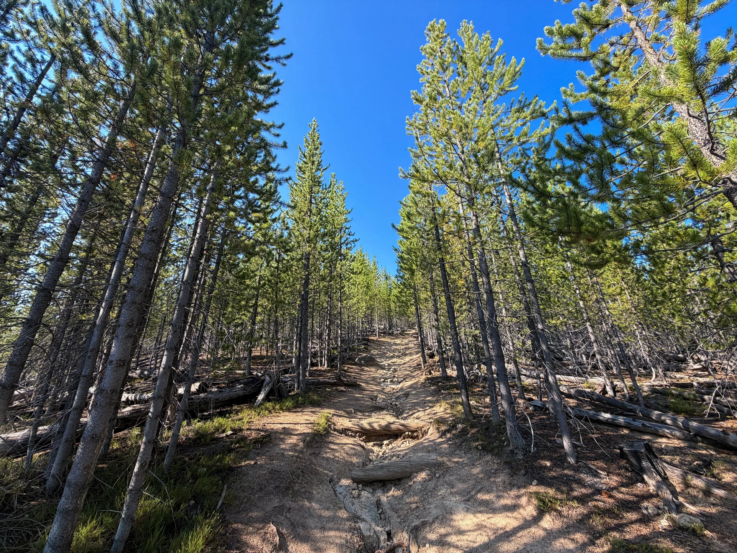 Monument Geyser Basin Trail Yellowstone National Park Wyoming