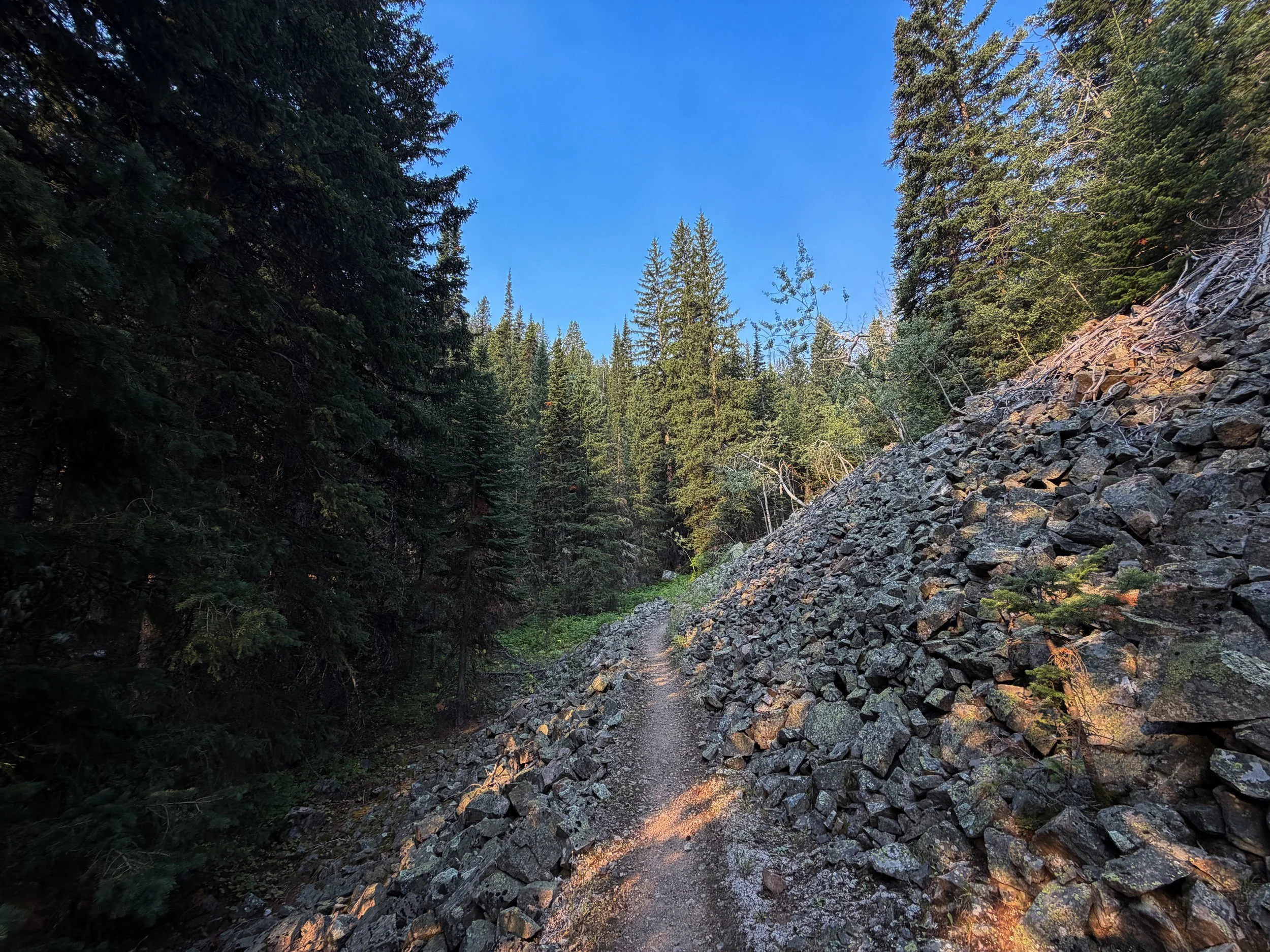 Beaten Path Trail Beartooth Mountains Montana