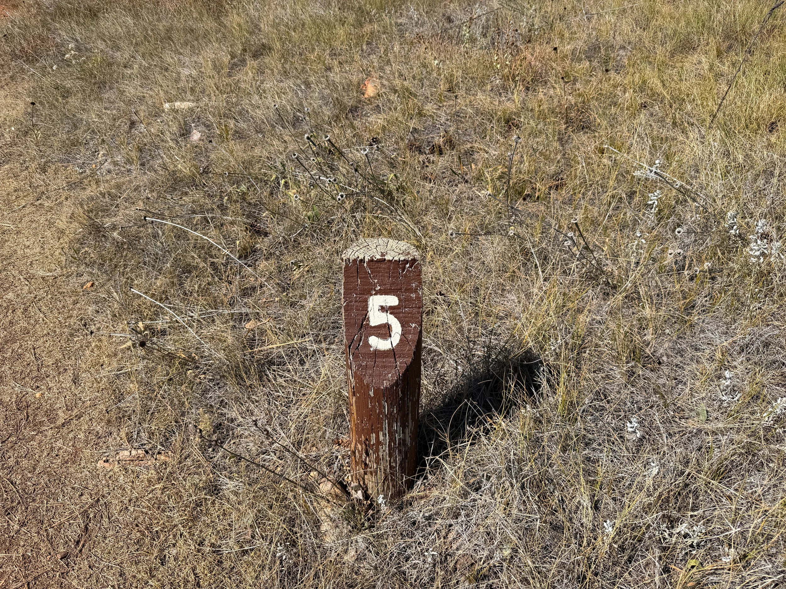 Elk Mountain Nature Loop Trail Wind Cave National Park South Dakota