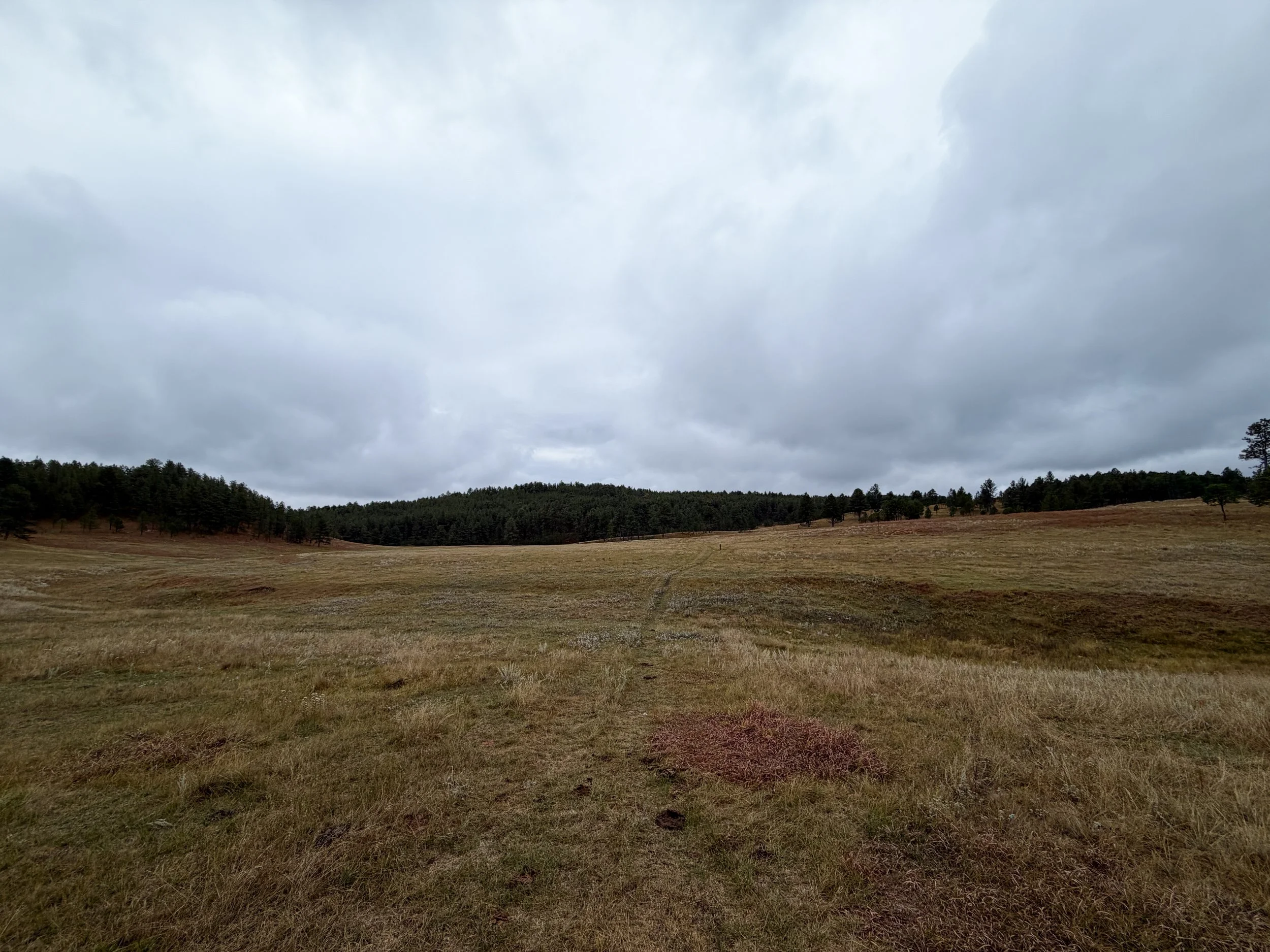 Highland Creek to Wind Cave Canyon Trail Wind Cave National Park South Dakota