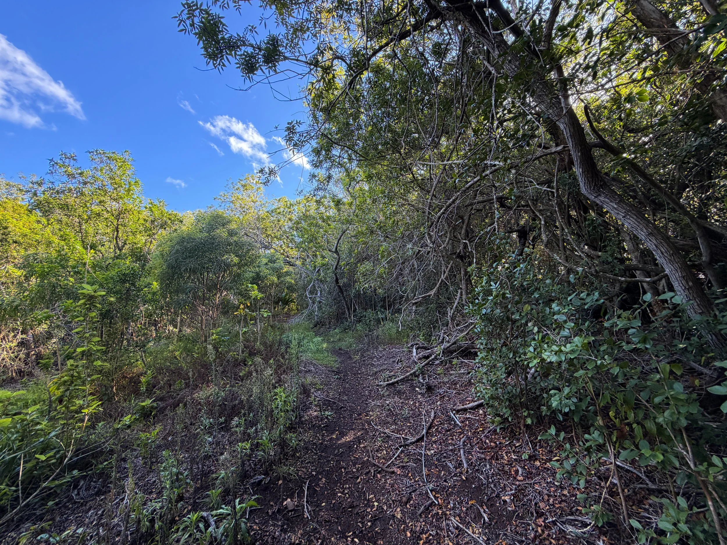 Mokuleia Trail Oahu Hawaii