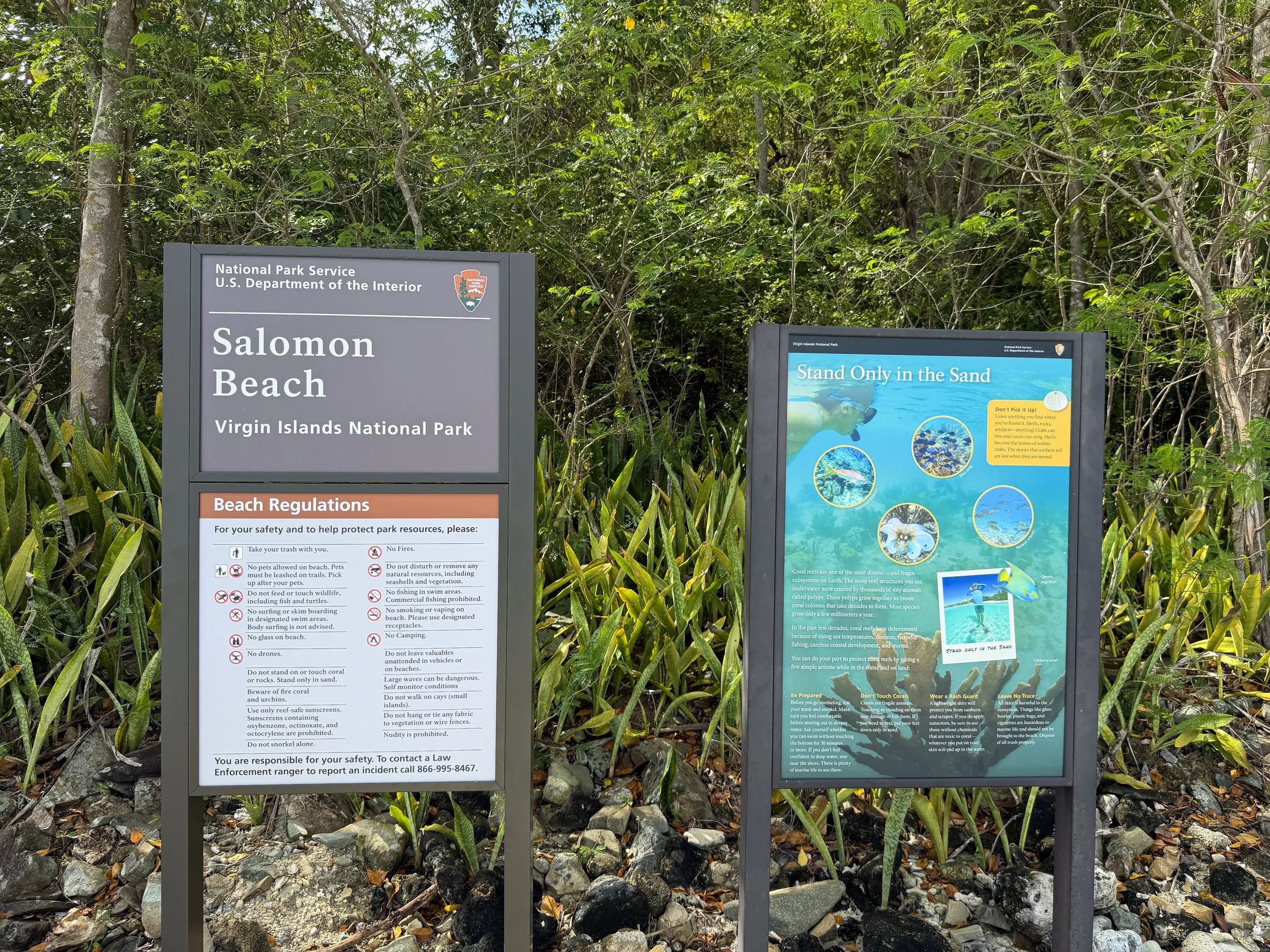 Salomon Beach Lind Point Trail Virgin Islands National Park