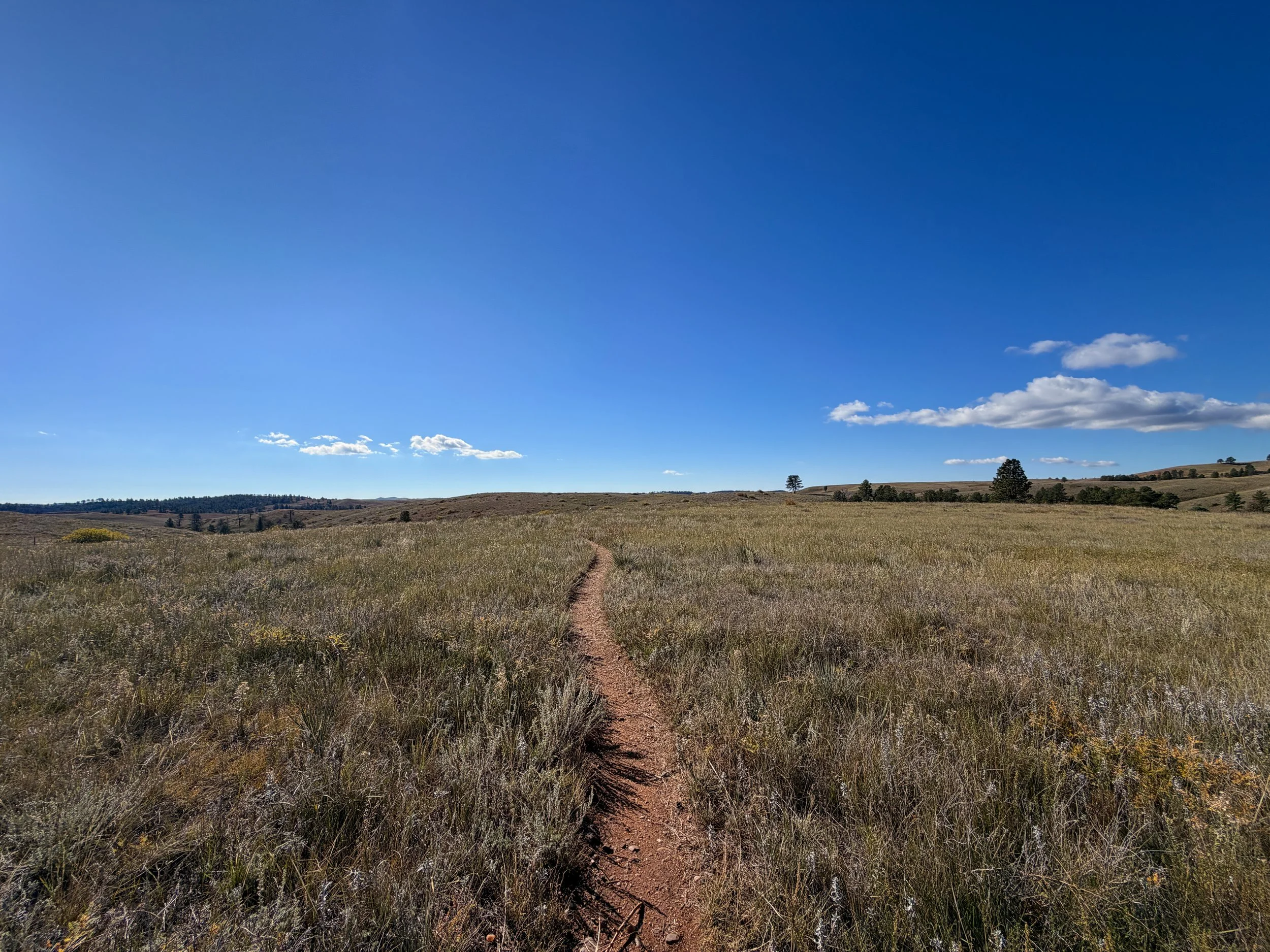 Prairie Vista Nature Trail Wind Cave National Park South Dakota