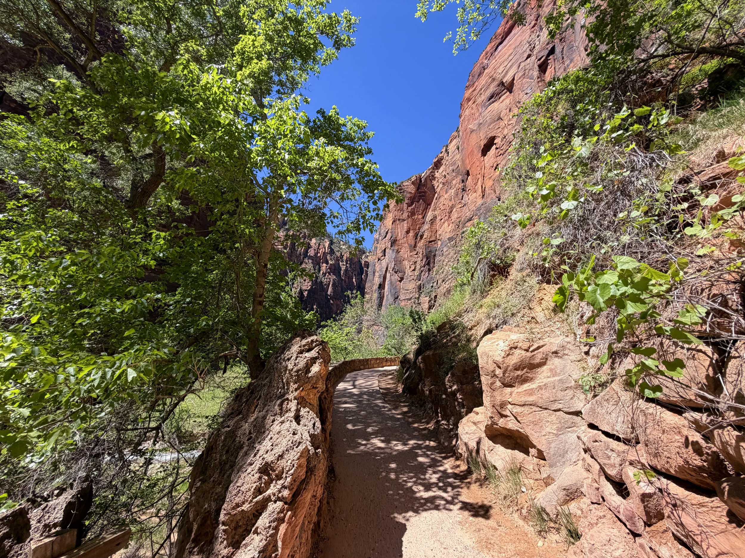 Riverside Walk Hike Zion National Park Utah