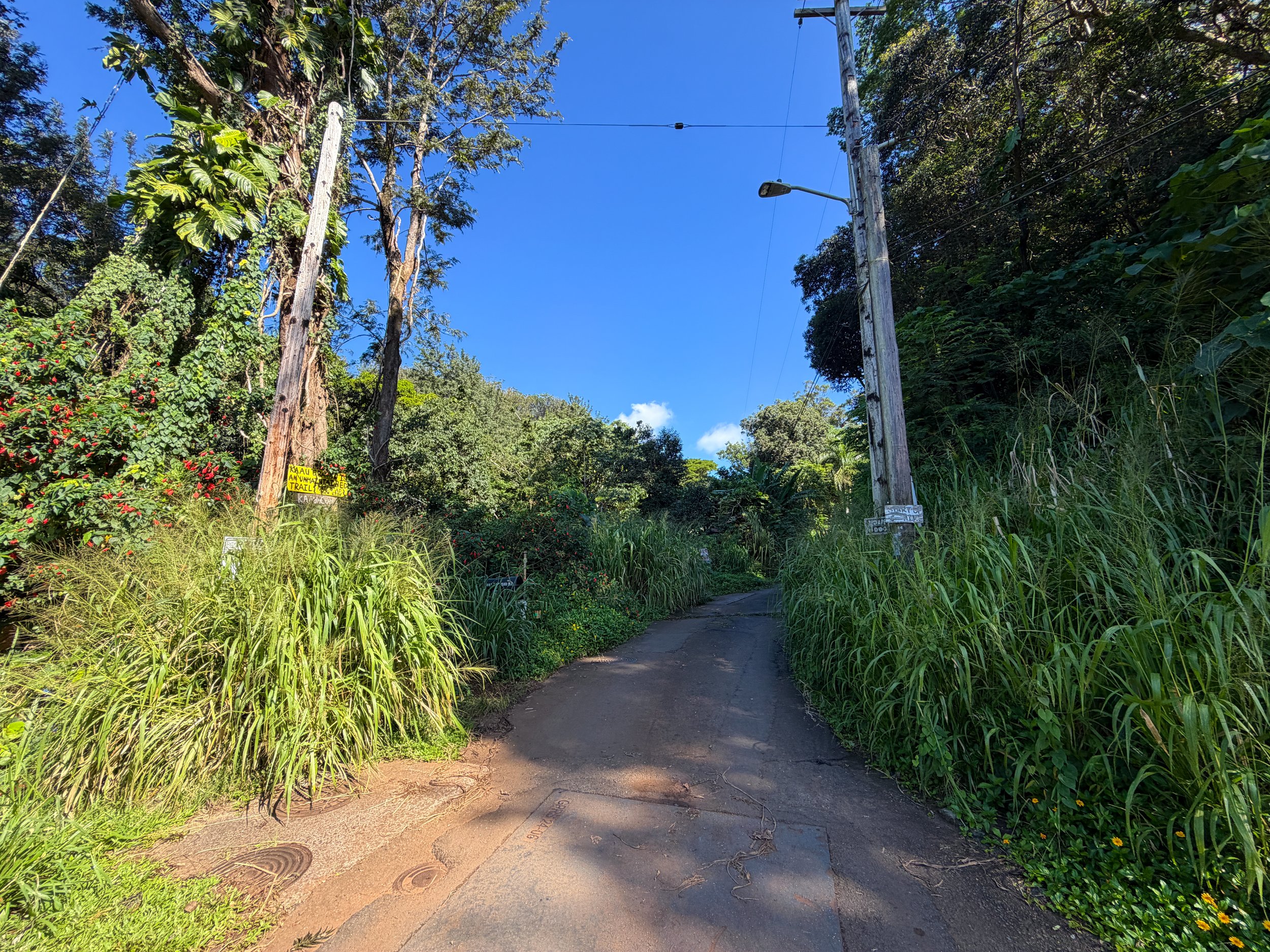 Kaau Crater Trailhead Oahu Hawaii