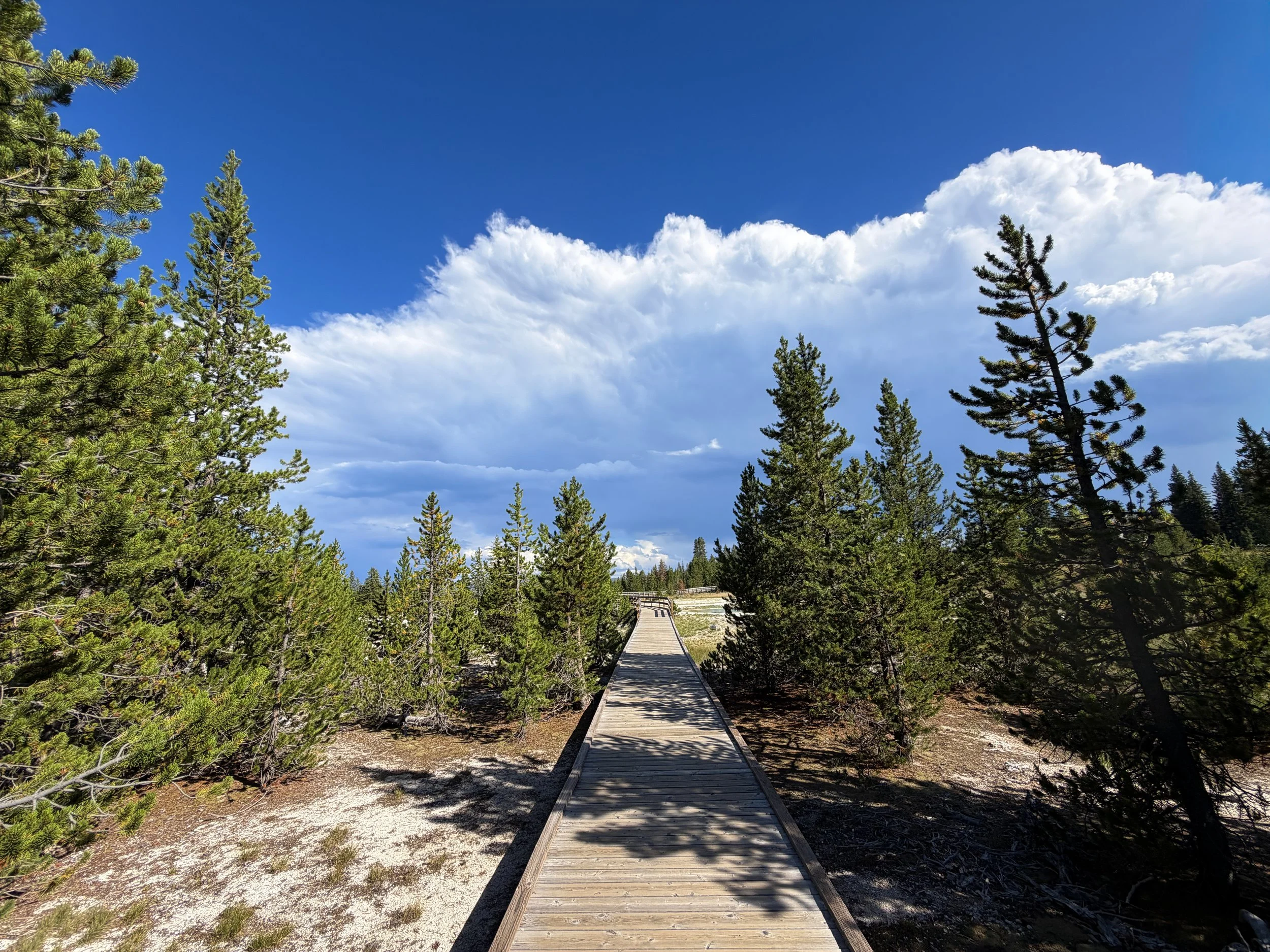 West Thumb Geyser Basin Trail Yellowstone National Park Wyoming
