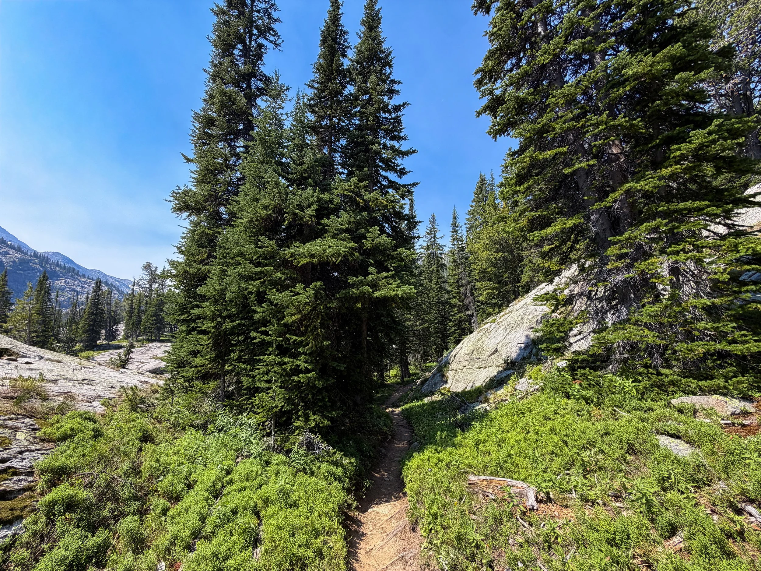 The Beaten Path Trail Beartooth Mountains Montana