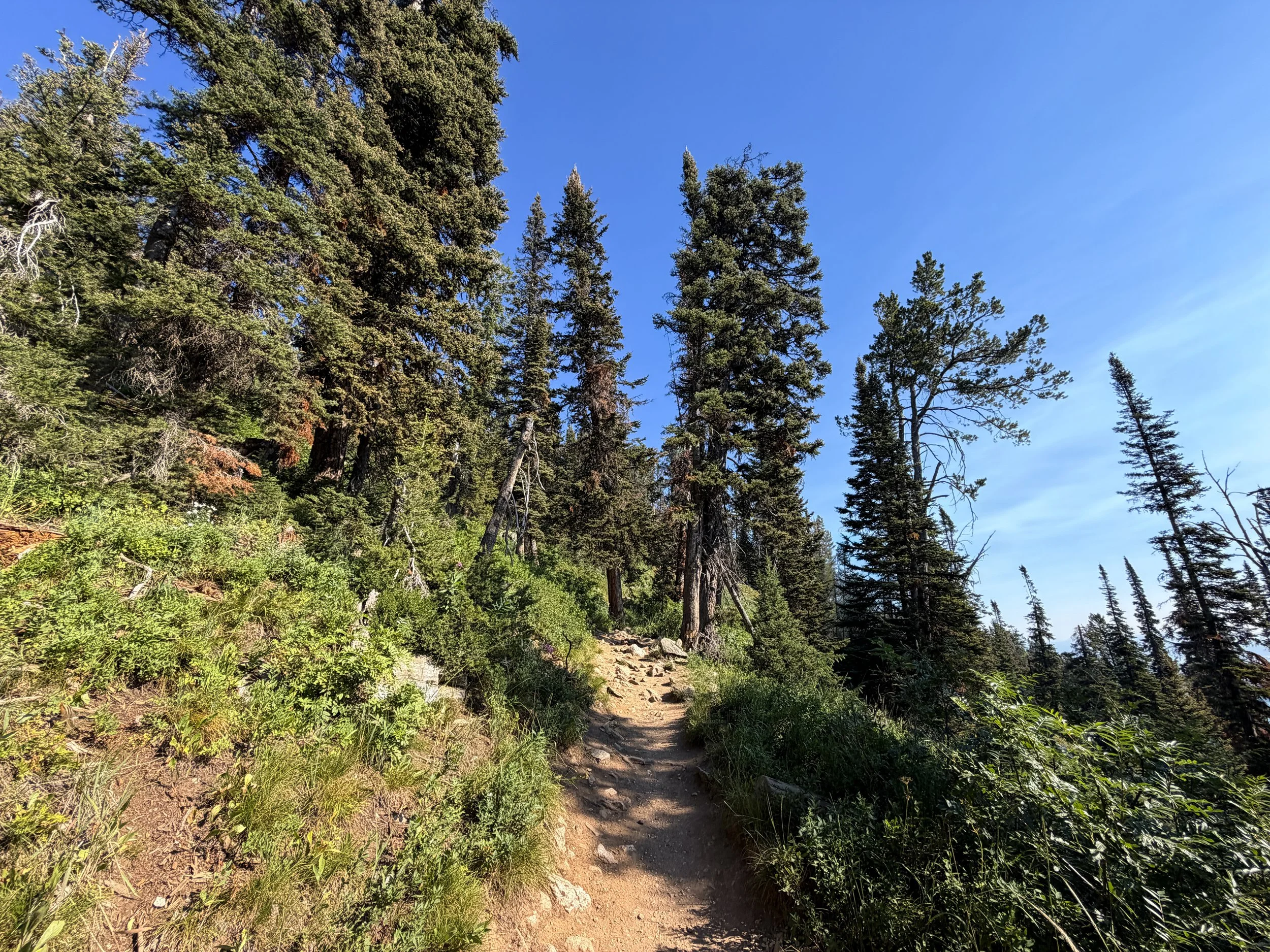 Delta Lake Trail Grand Teton National Park Wyoming