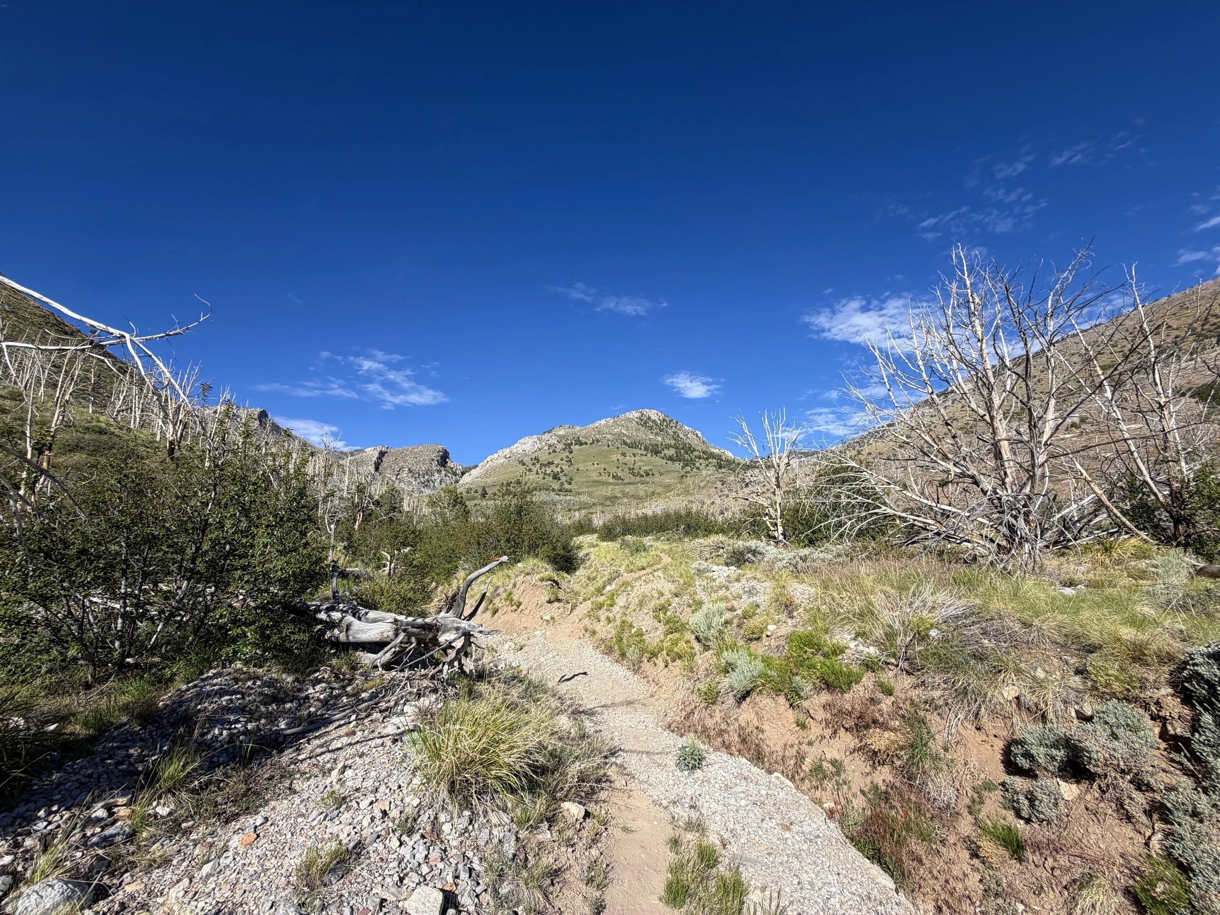 Lexington Arch Hike Great Basin National Park Nevada