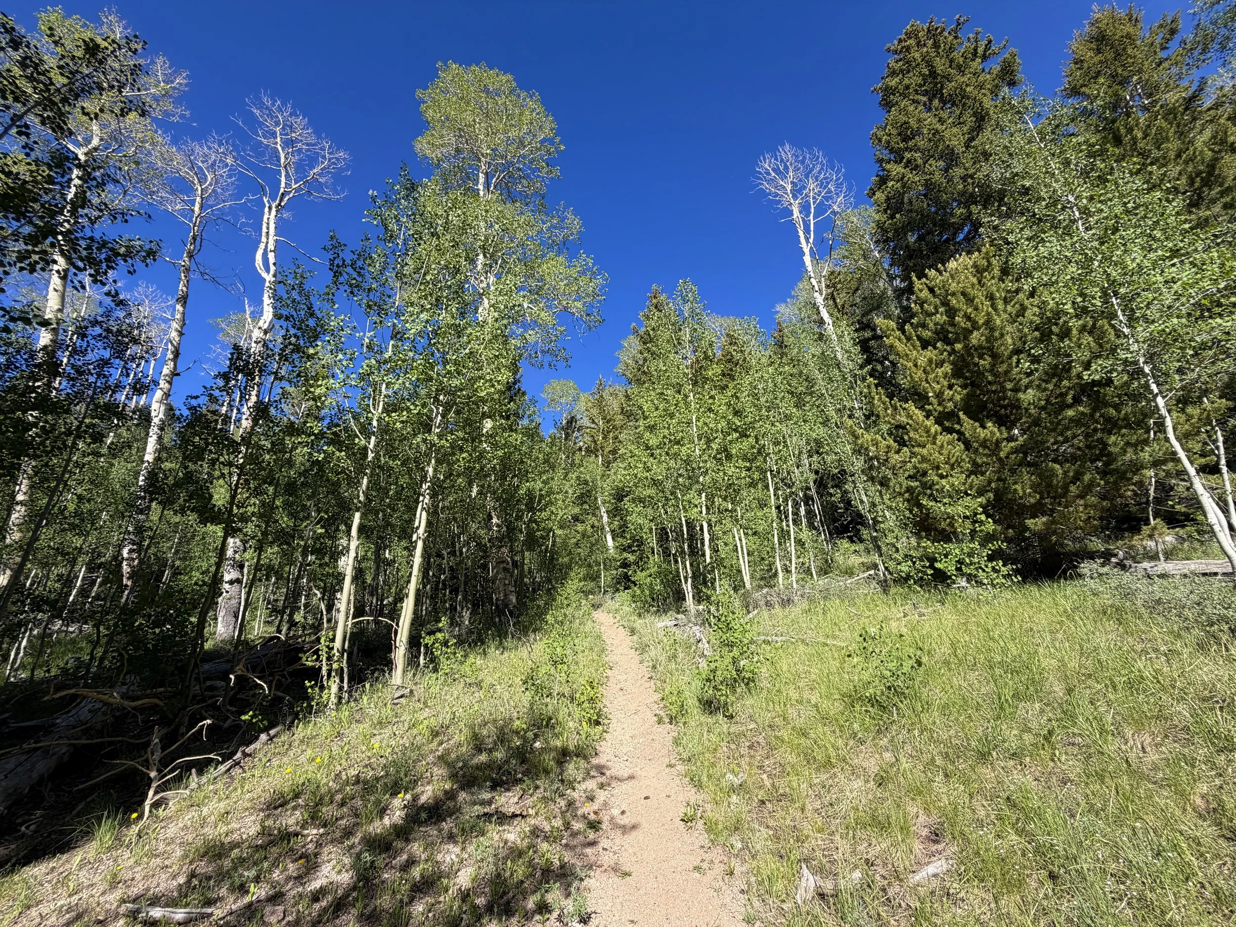 Johnson Lake Trail Great Basin National Park Nevada