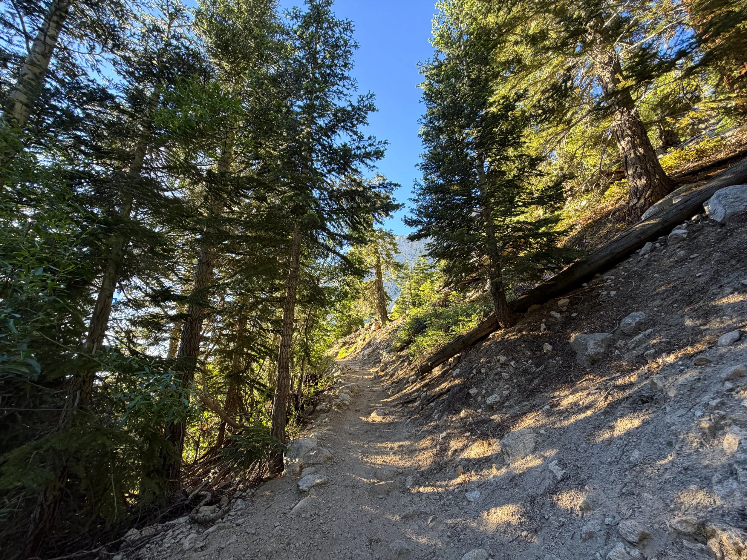 Mount Whitney Hike Lone Pine California
