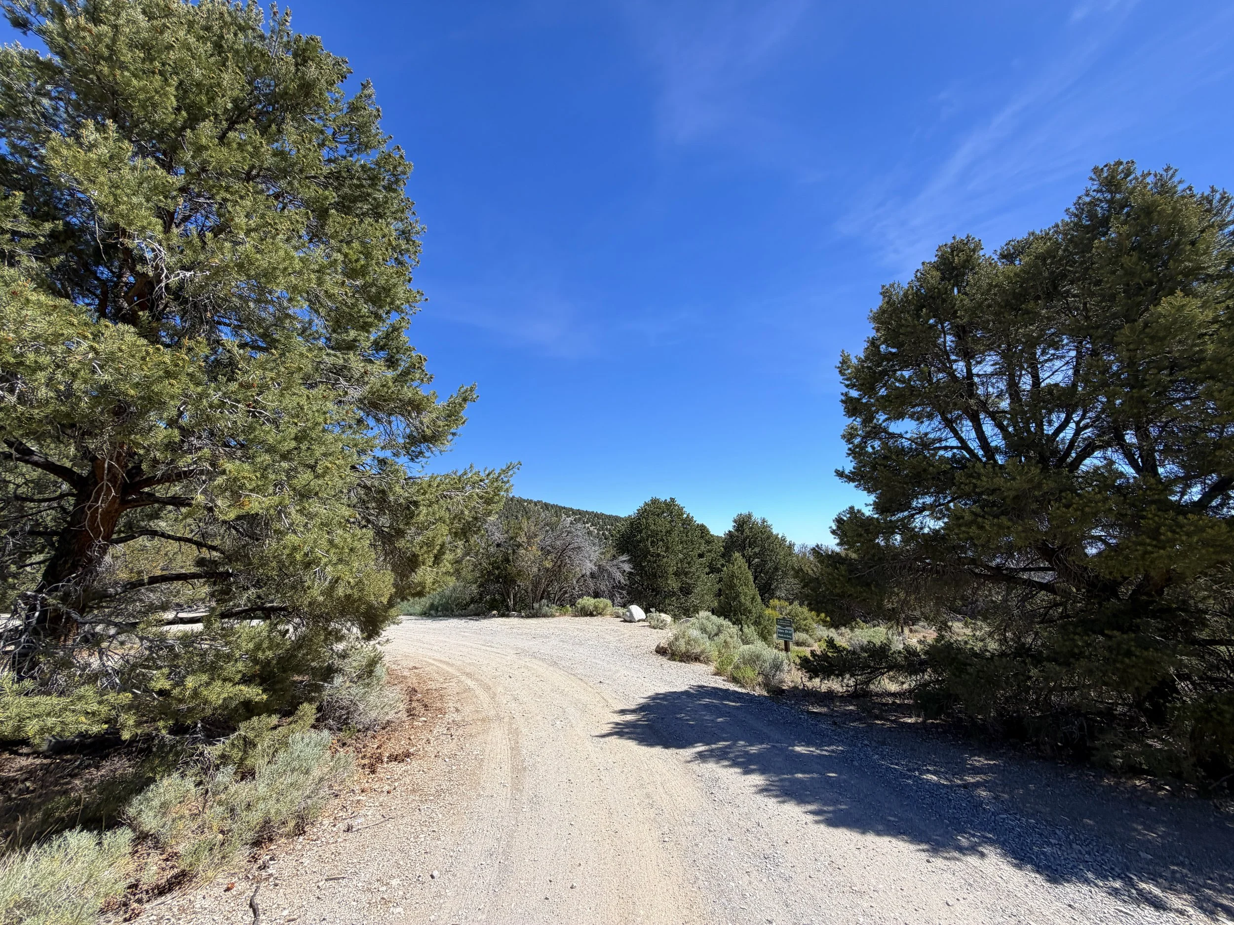 Pole Canyon Trail Great Basin National Park Nevada