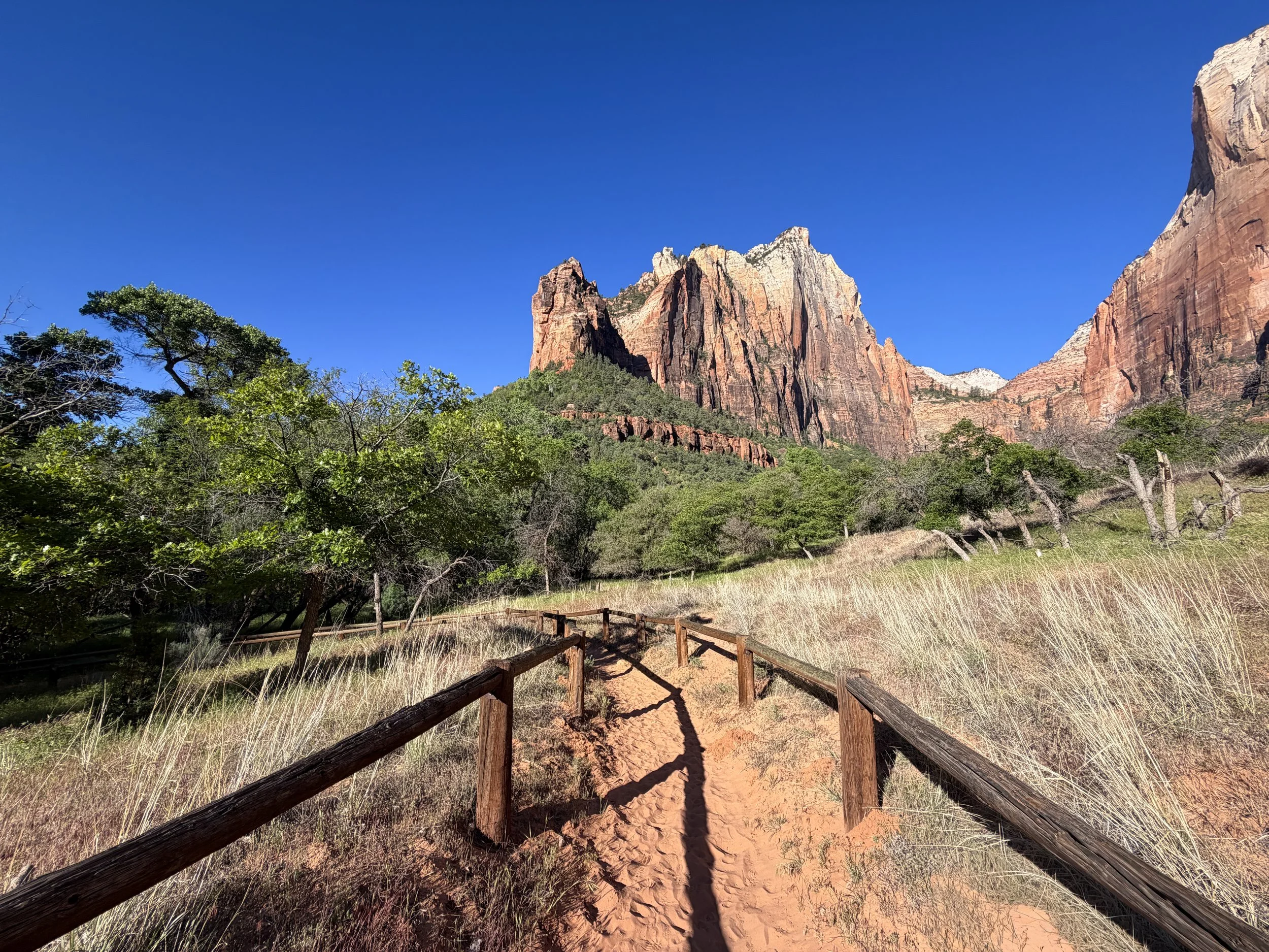 Sand Bench Trail Zion National Park Utah