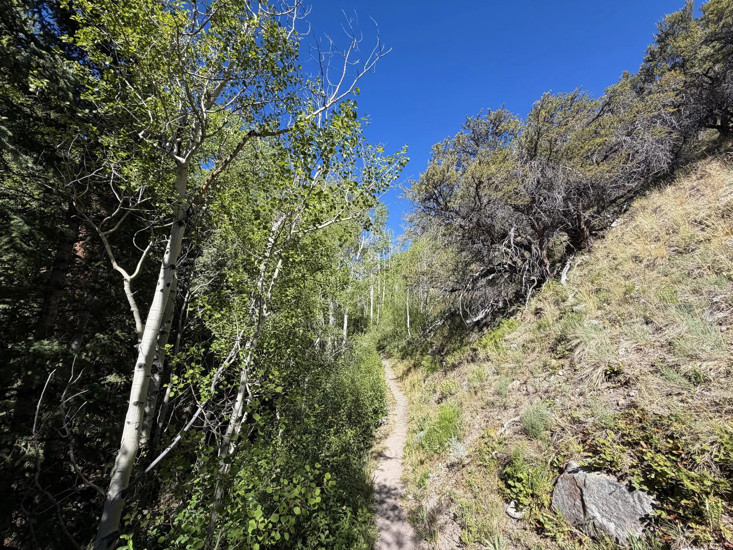 Baker Lake Trail Great Basin National Park Nevada