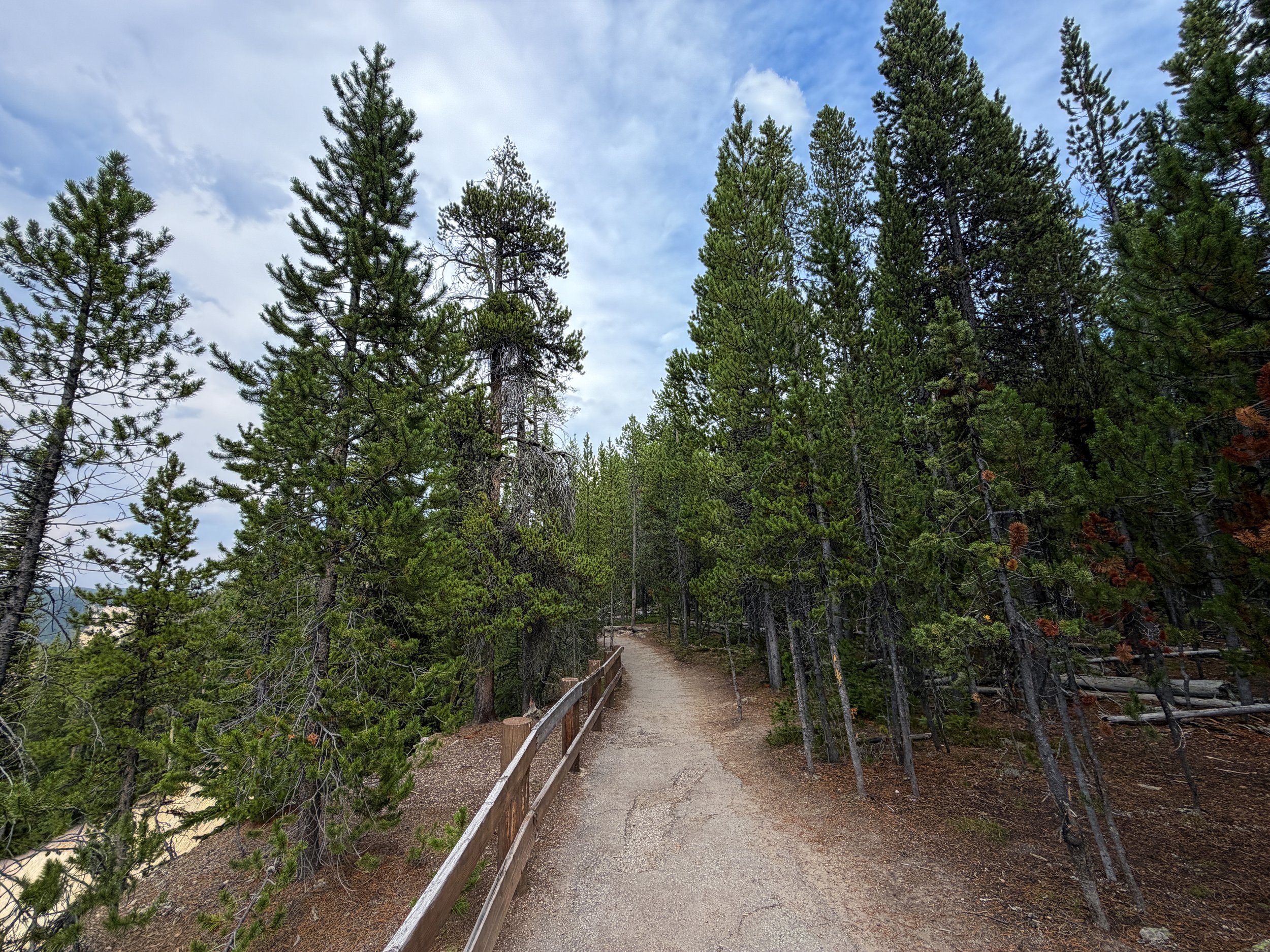 South Rim Trail Yellowstone National Park Wyoming