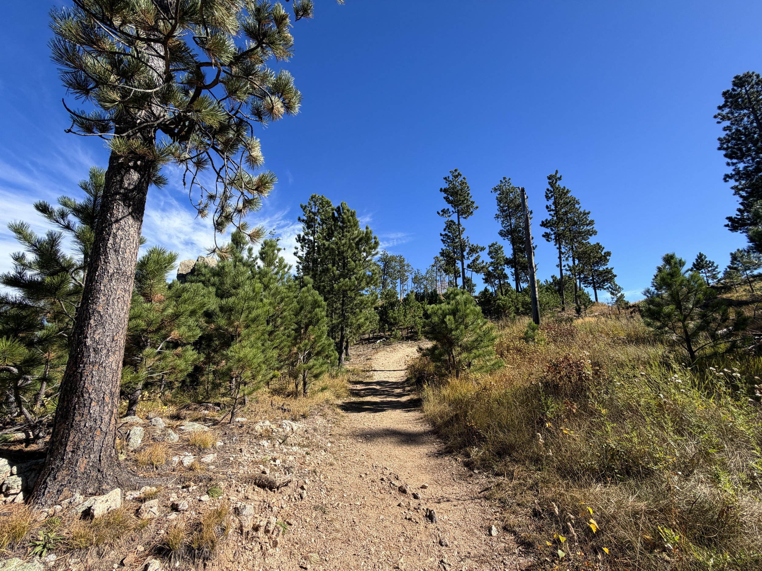 Sunday Gulch Trail Custer State Park Black Hills South Dakota