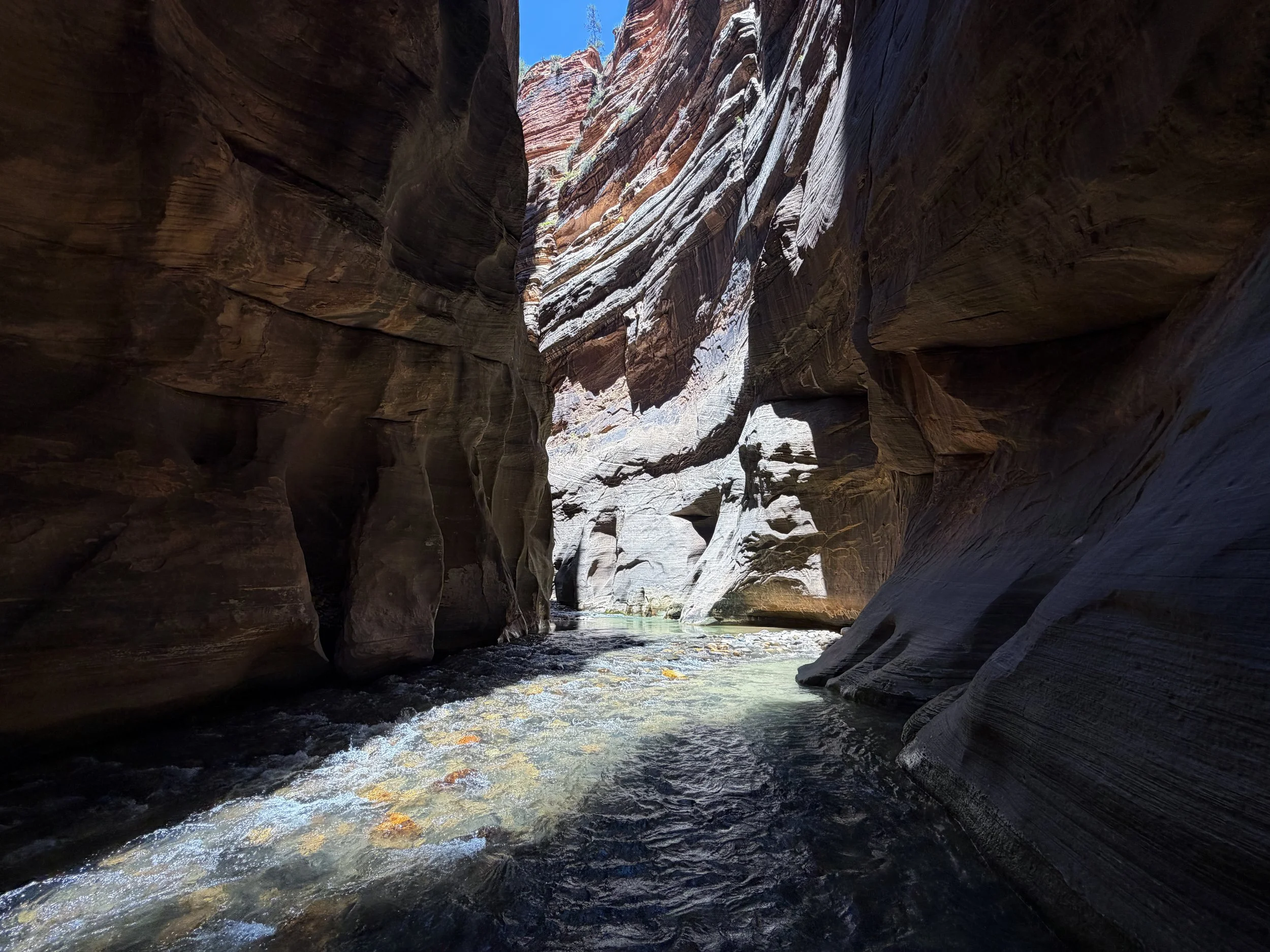 Wall Street Narrows Zion National Park Utah