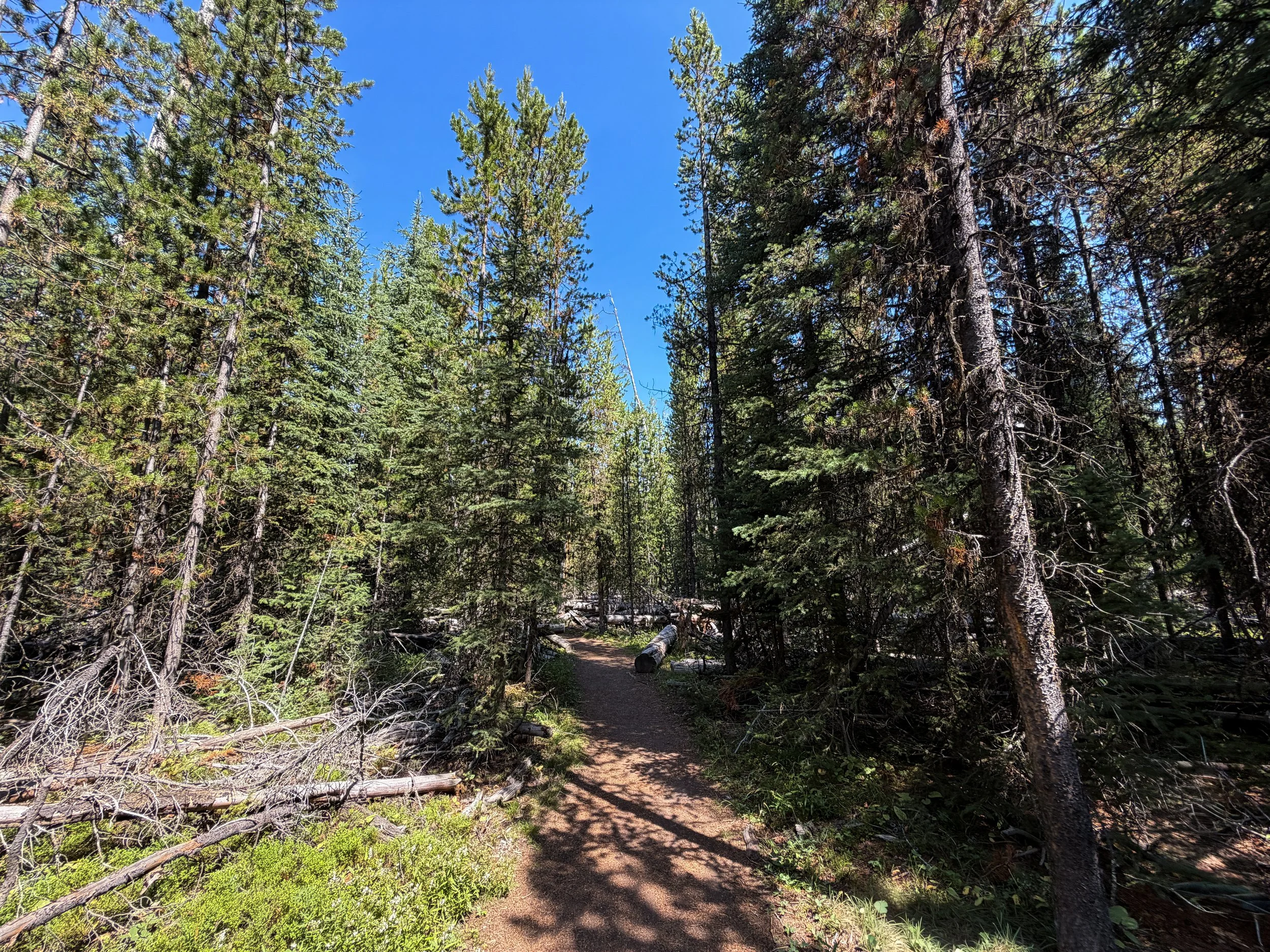 Storm Point Trail Yellowstone National Park Wyoming