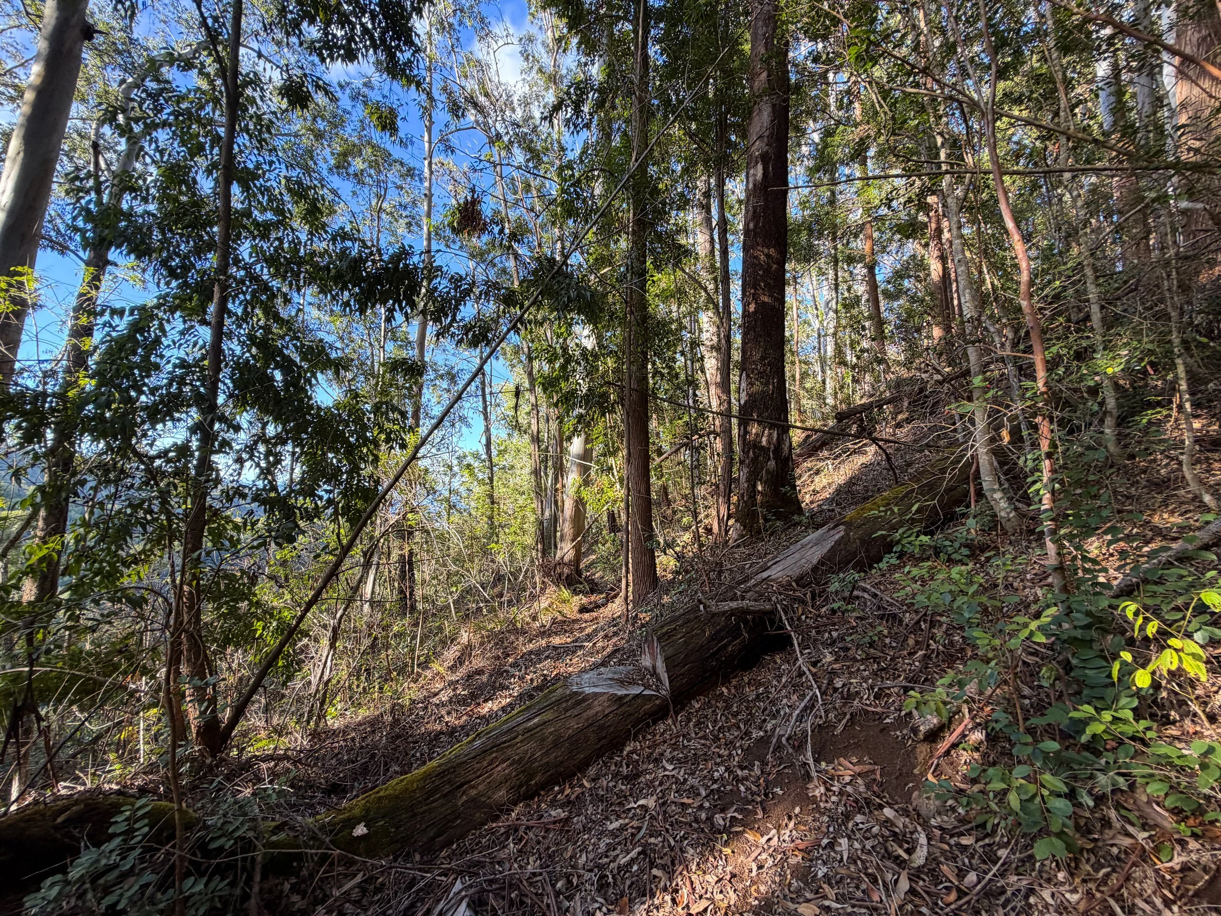 Mokuleia Trail Oahu Hawaii