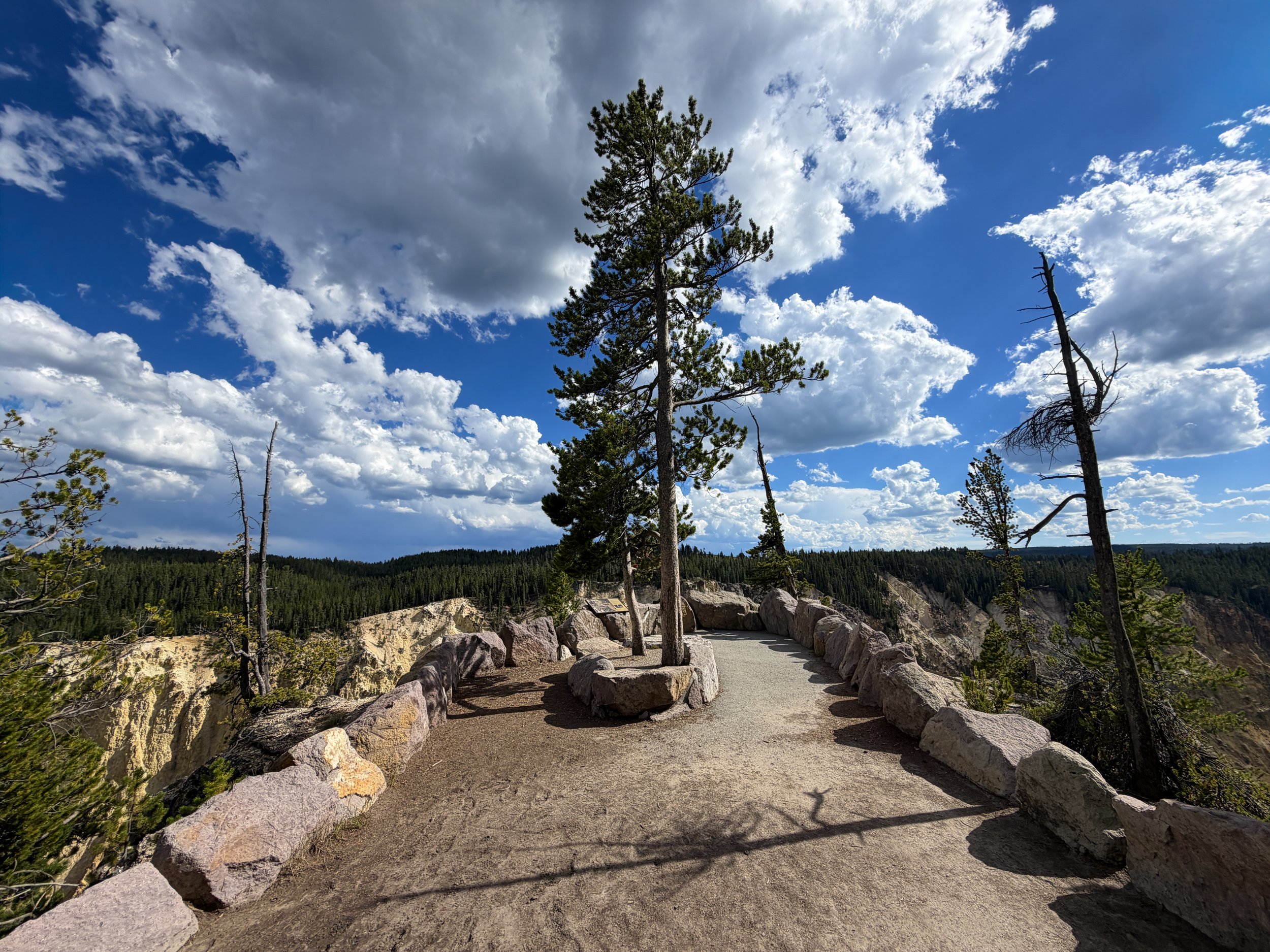 North Rim Trail Yellowstone National Park Wyoming