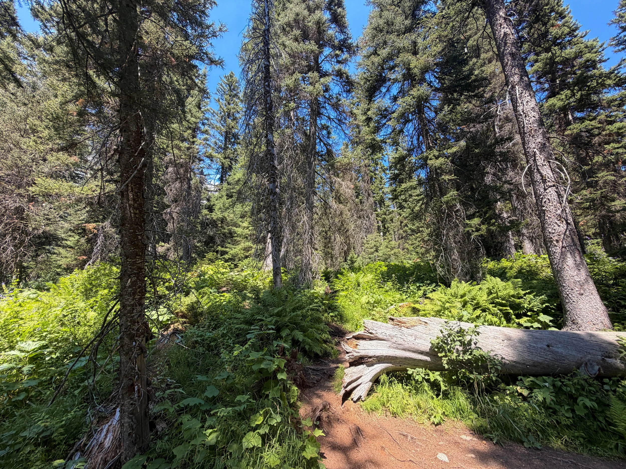 Lake of the Crags Trailhead Grand Teton National Park Wyoming