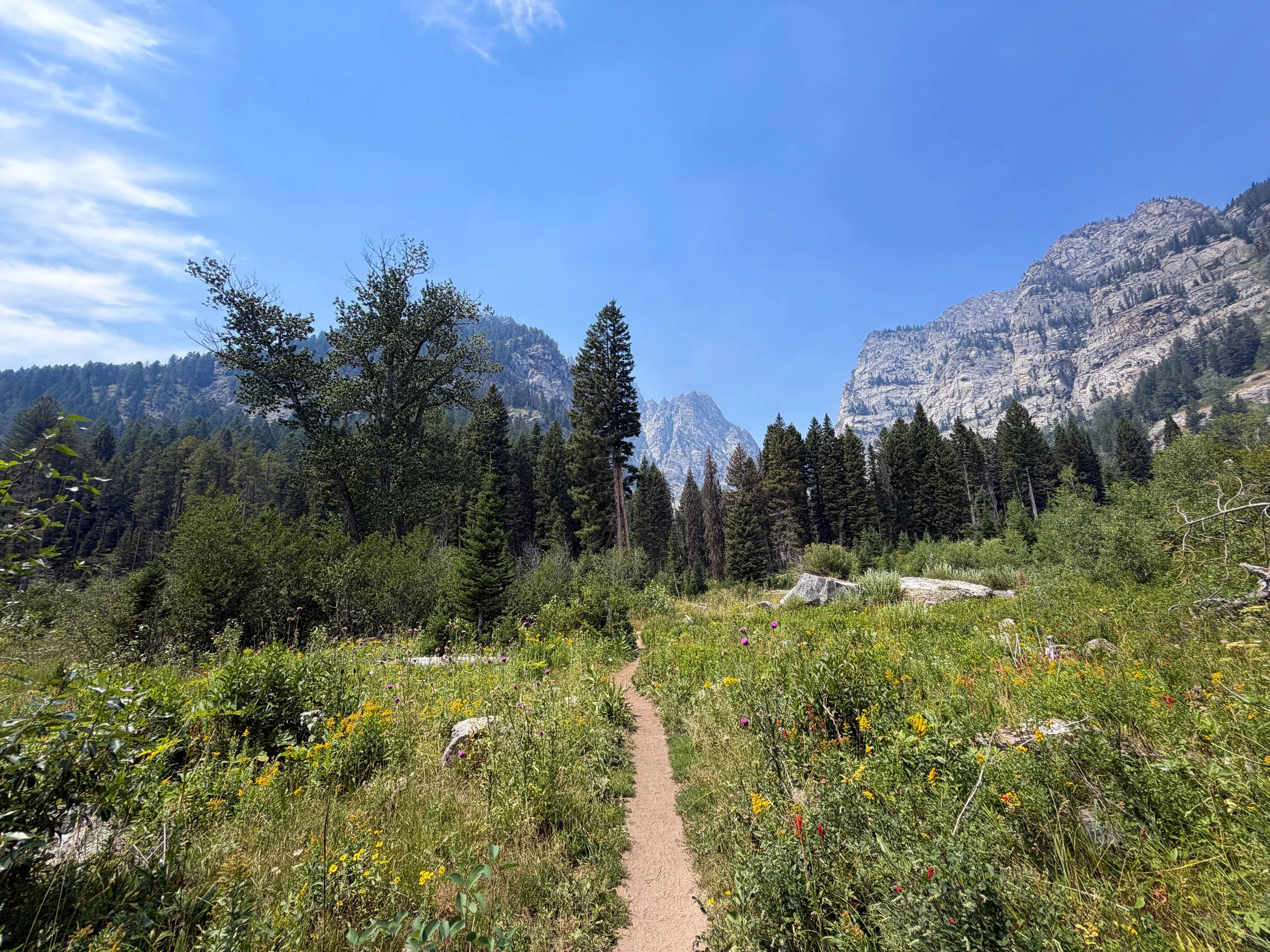 Phelps Lake Loop Trail Grand Teton National Park Wyoming