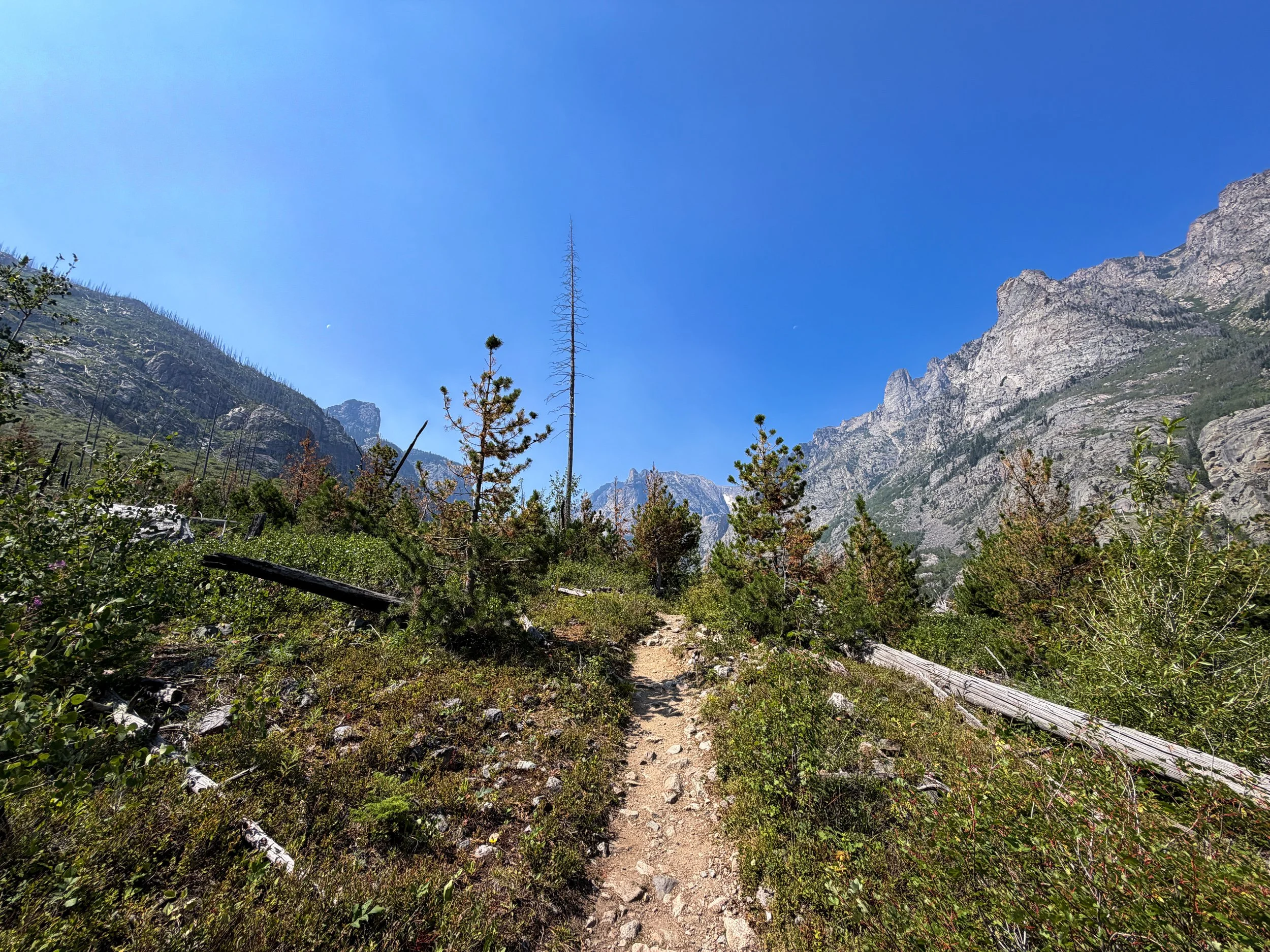 Beaten Path Hike Beartooth Mountains Montana