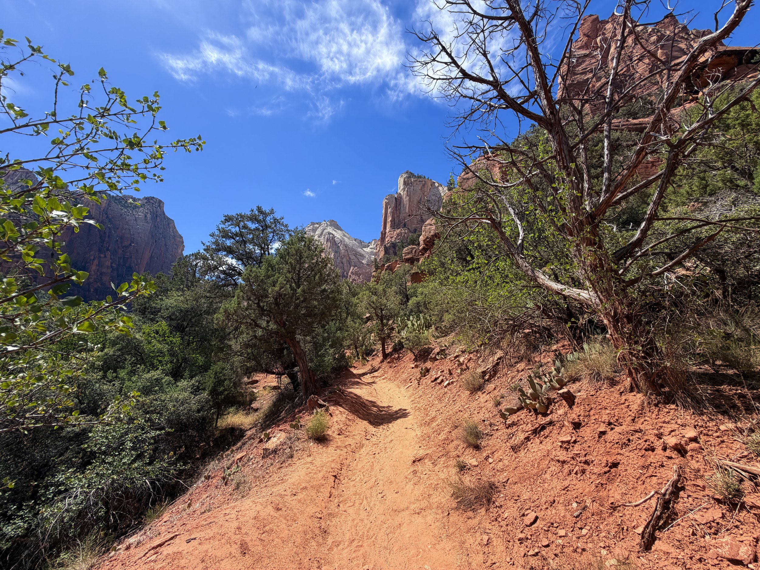 Sand Bench Trail Zion National Park Utah