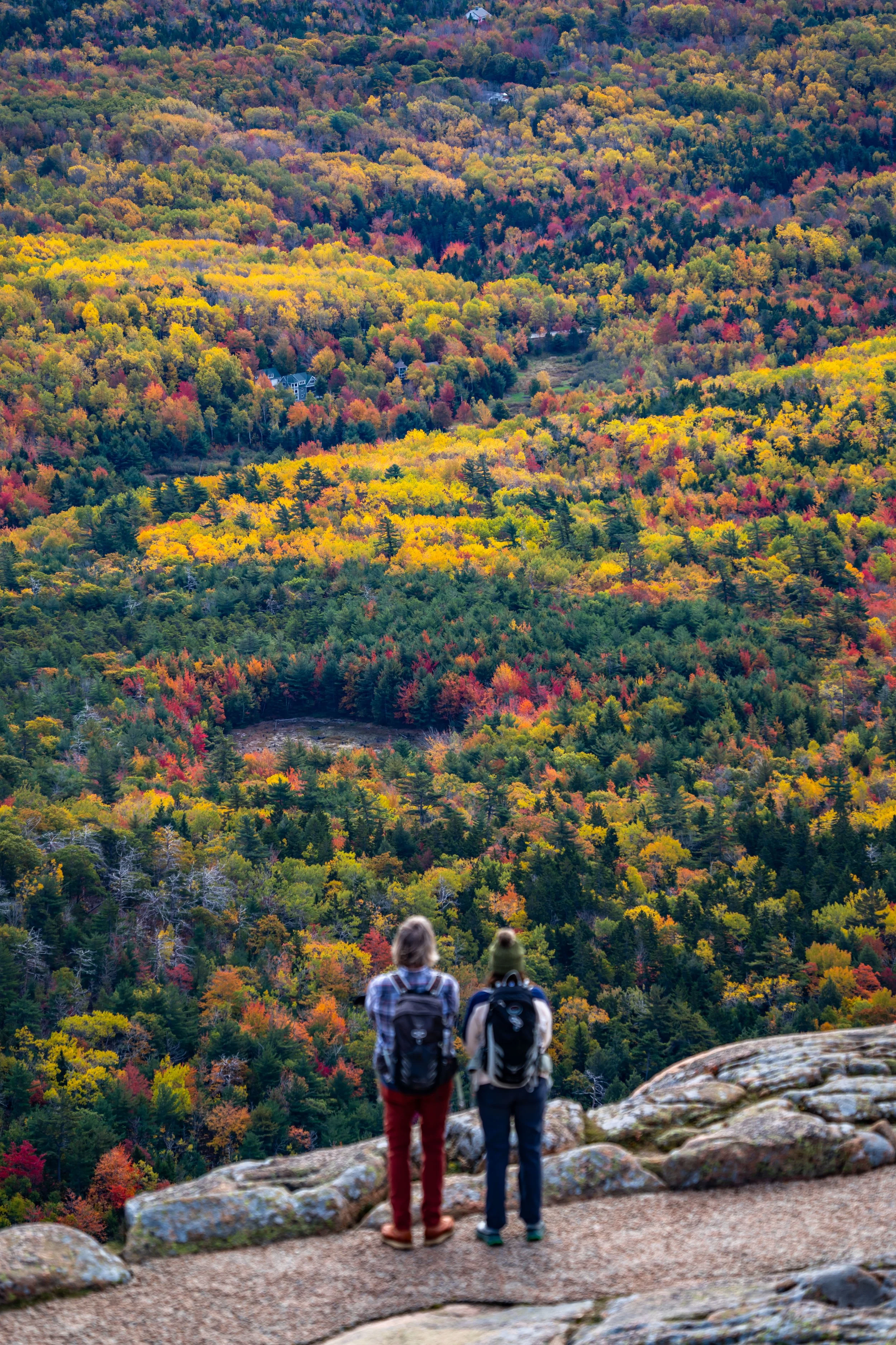 Falls Colors Cadillac Mountain Acadia National Park Maine
