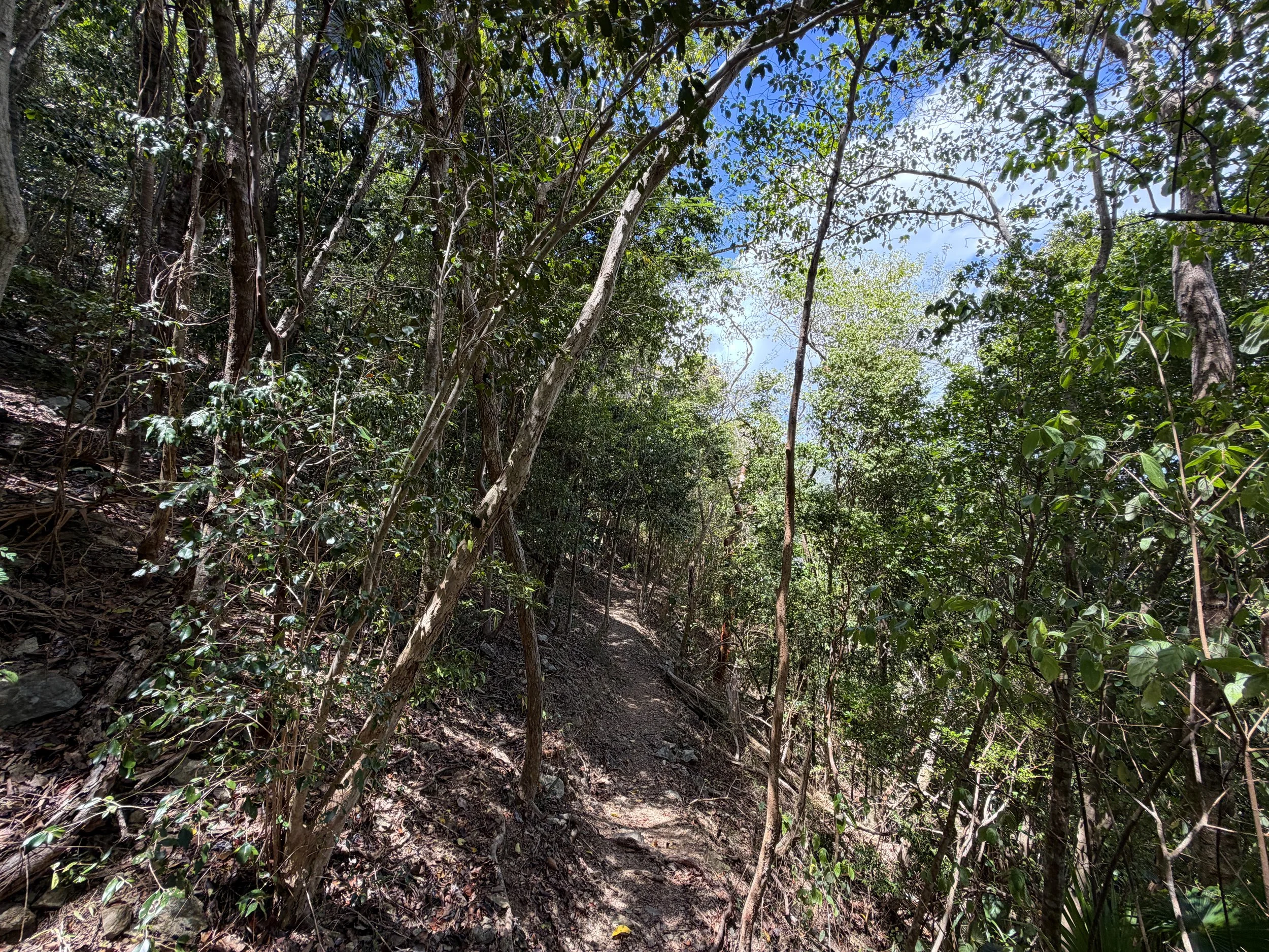 Maria Hope Trail Virgin Islands National Park