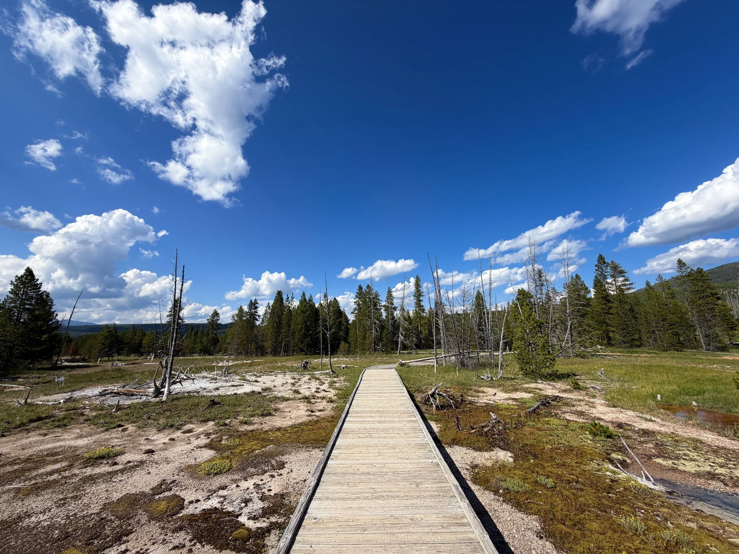 Artists Paintpots Trail Yellowstone National Park Wyoming
