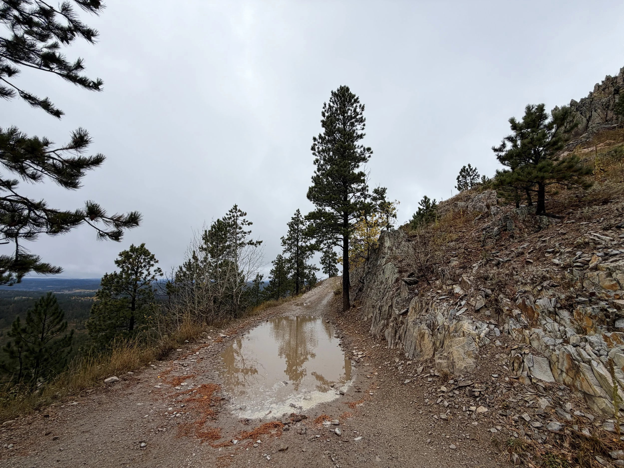Custer Peak Fire Lookout Hike Black Hills South Dakota