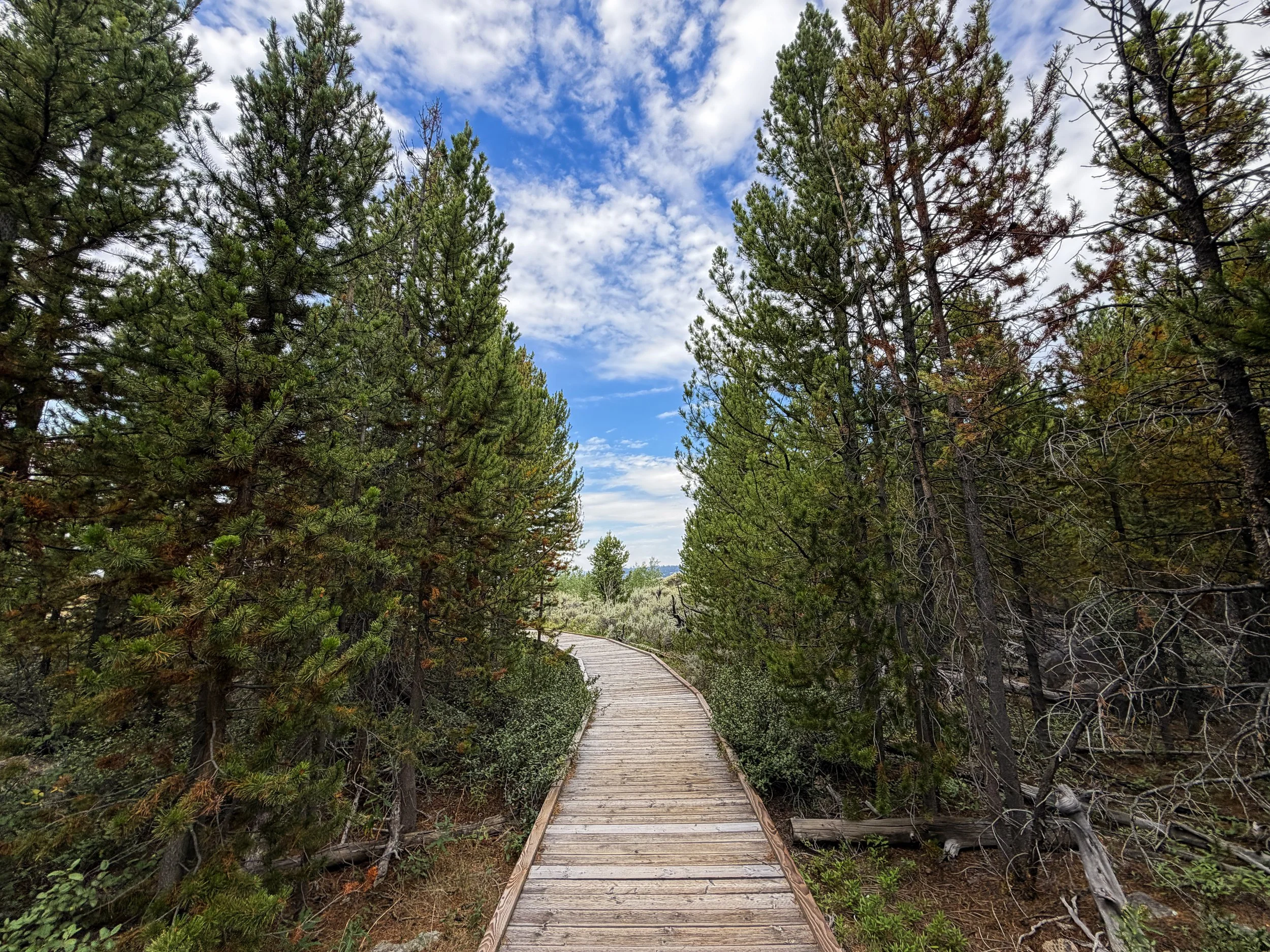 Forces of the Northern Range Trail Yellowstone National Park Wyoming