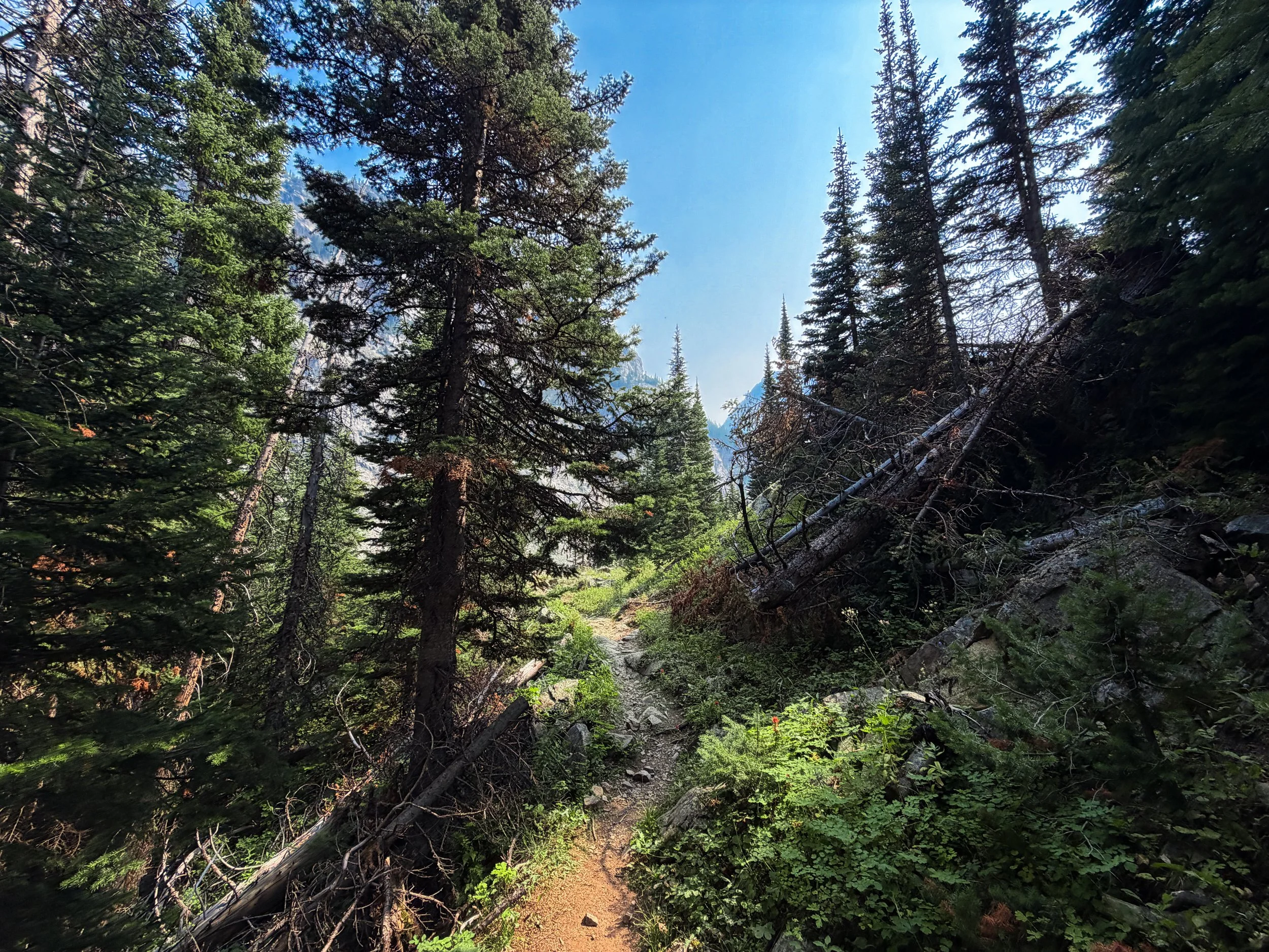 Beaten Path Trail Beartooth Mountains Montana