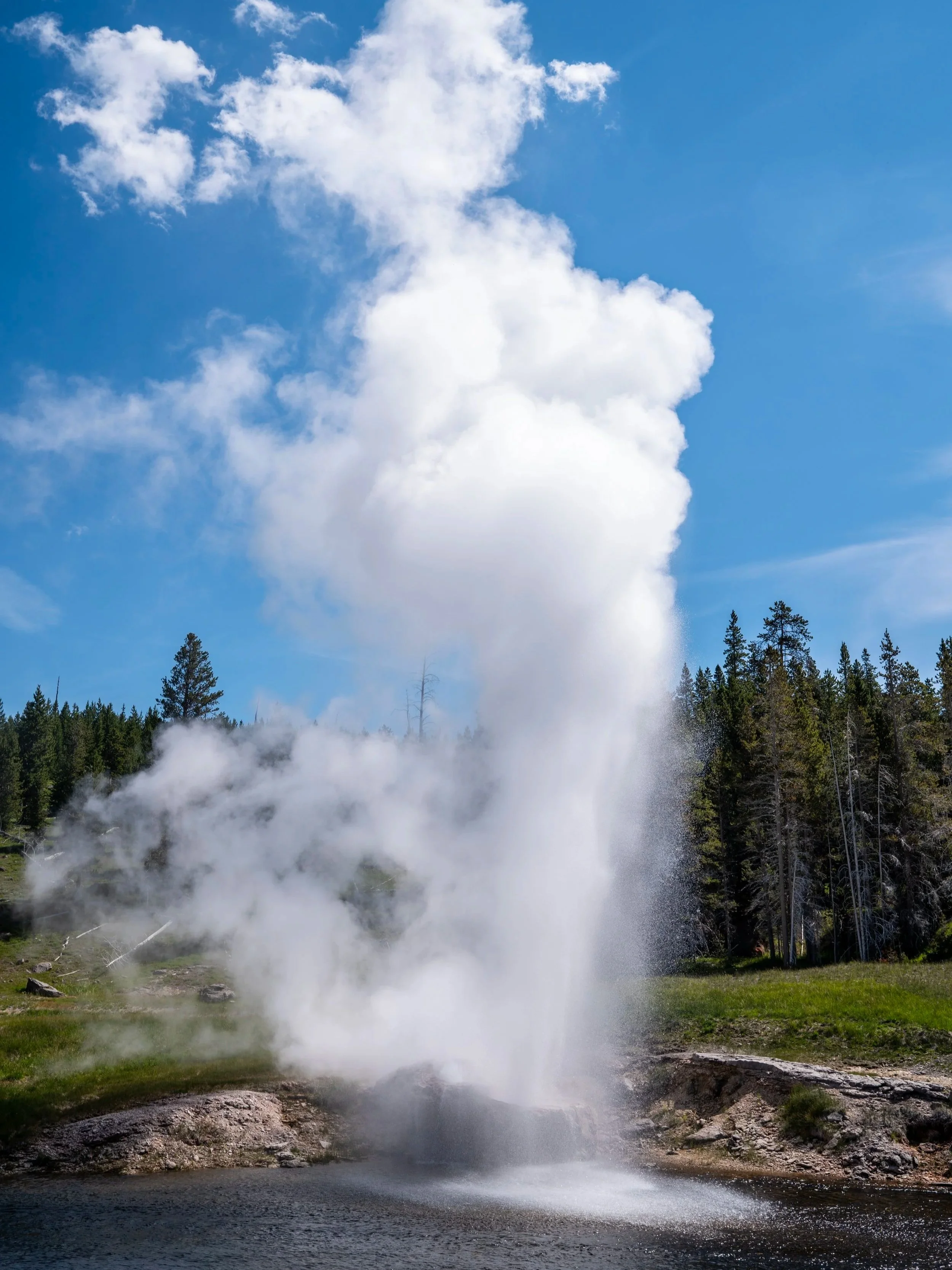 Riverside Geyser Yellowstone National Park Wyoming
