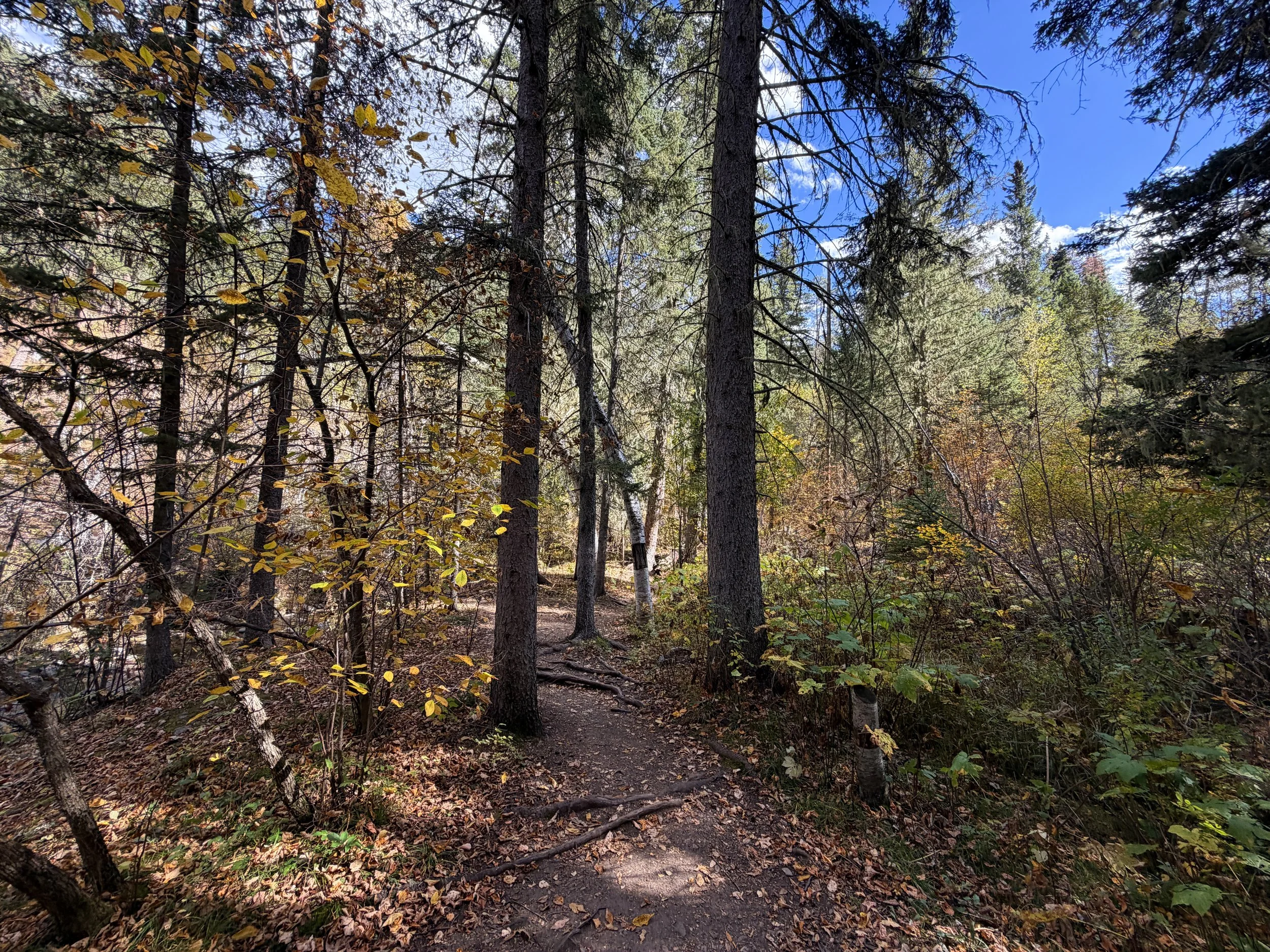 Devils Bathtub Hike Spearfish Canyon Black Hills South Dakota