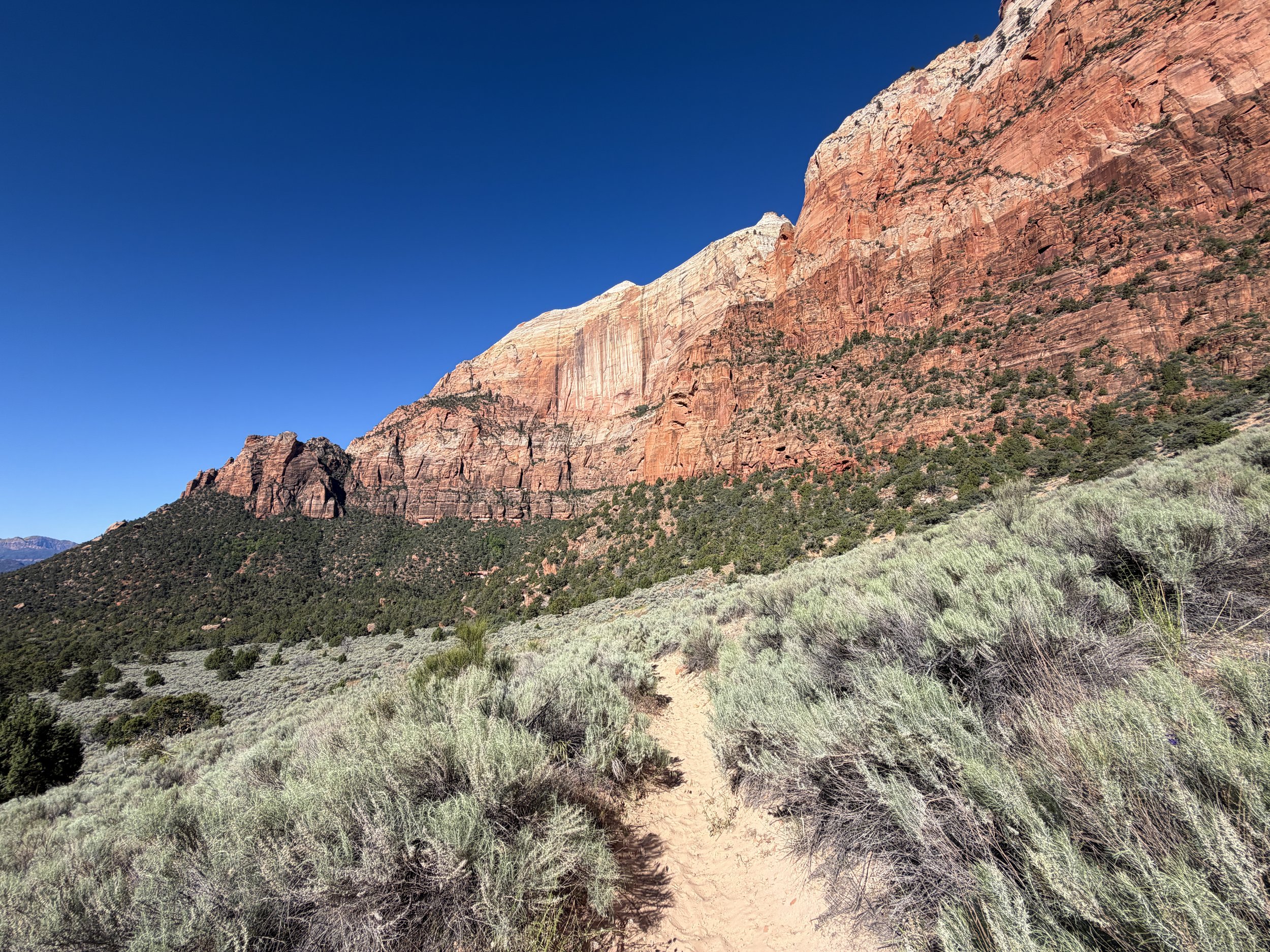 Sand Bench Hike Zion National Park Utah