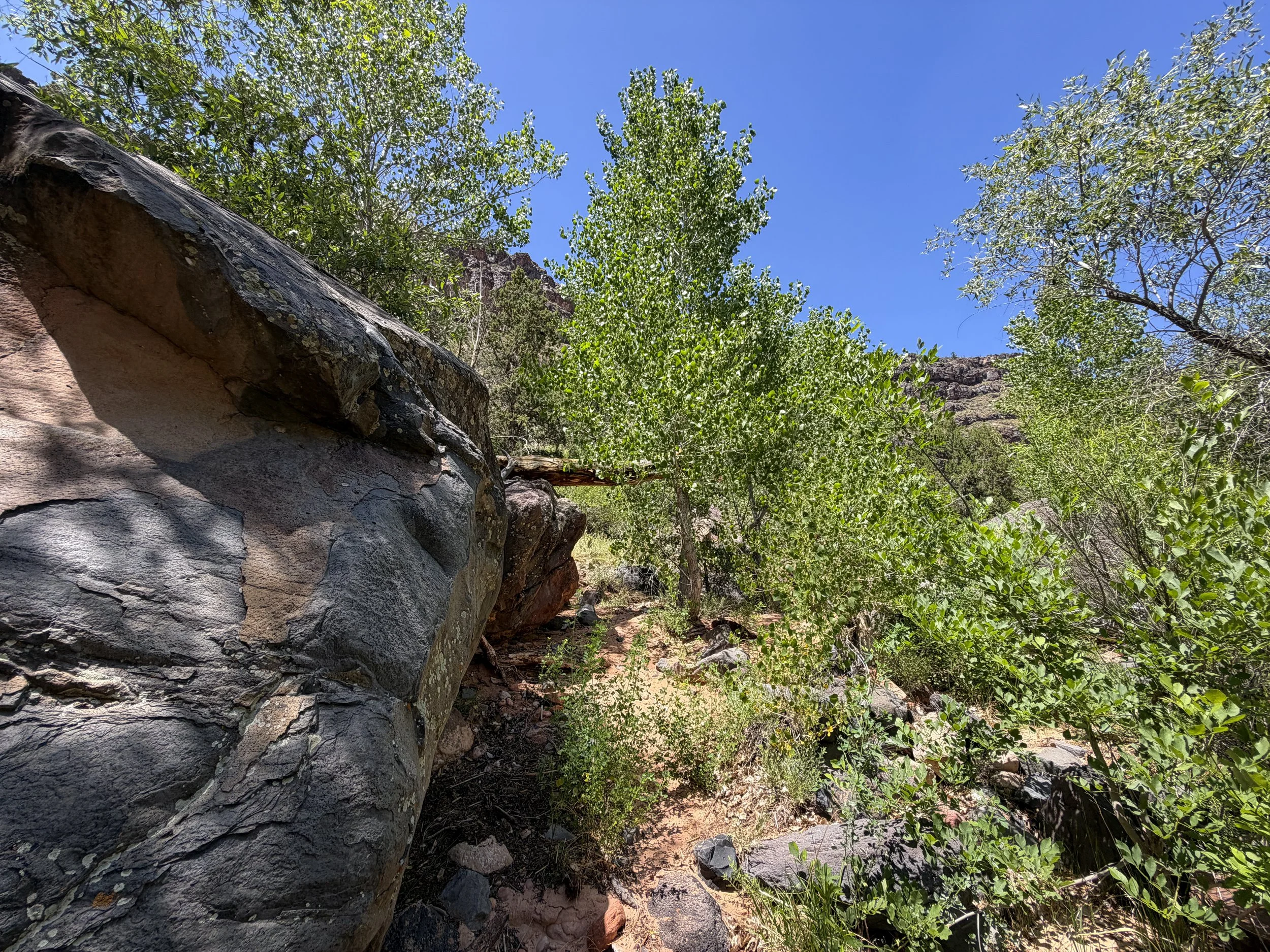 Grapevine Hike to Left Fork Falls Zion National Park Utah