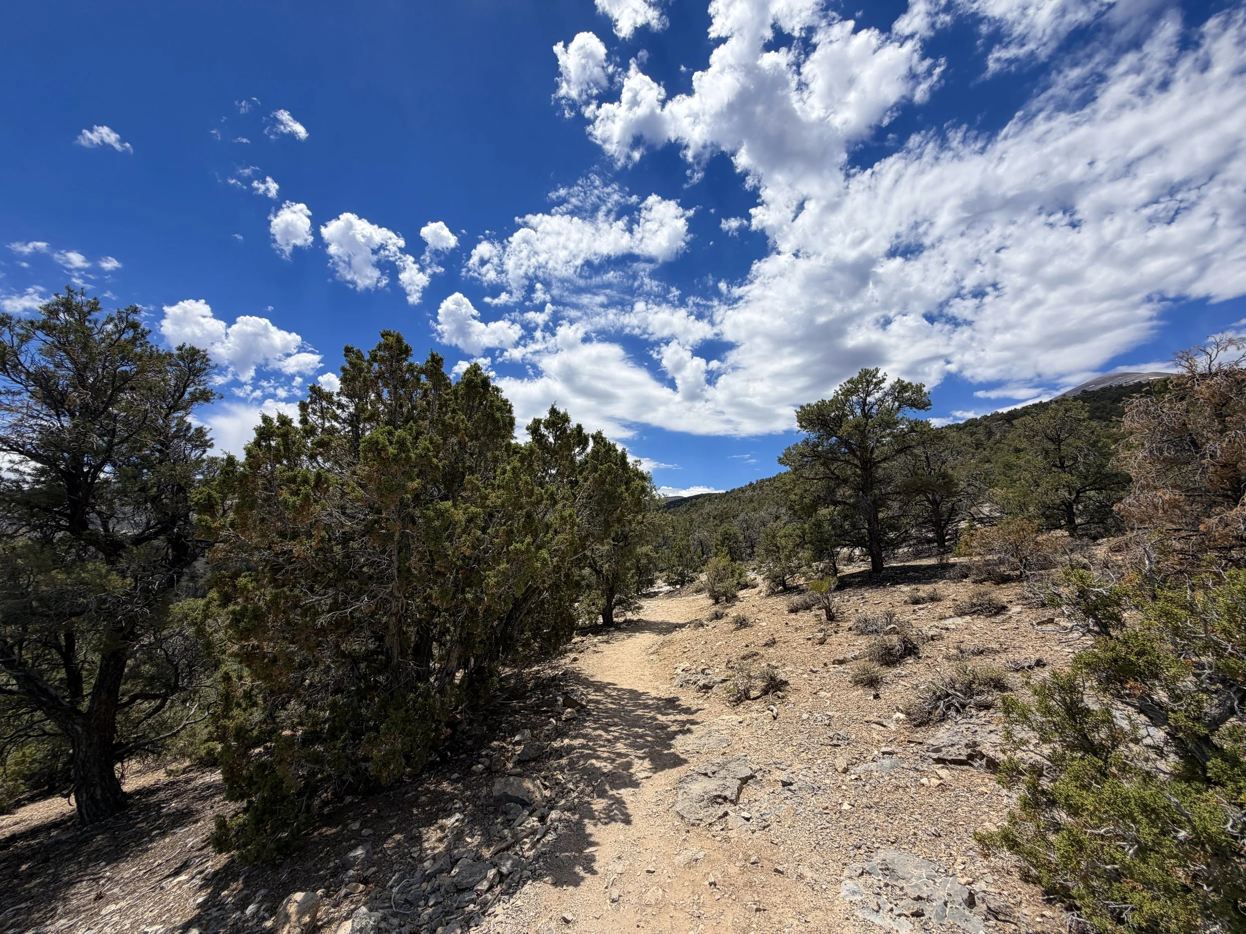 Mountain View Nature Hike Great Basin National Park Nevada