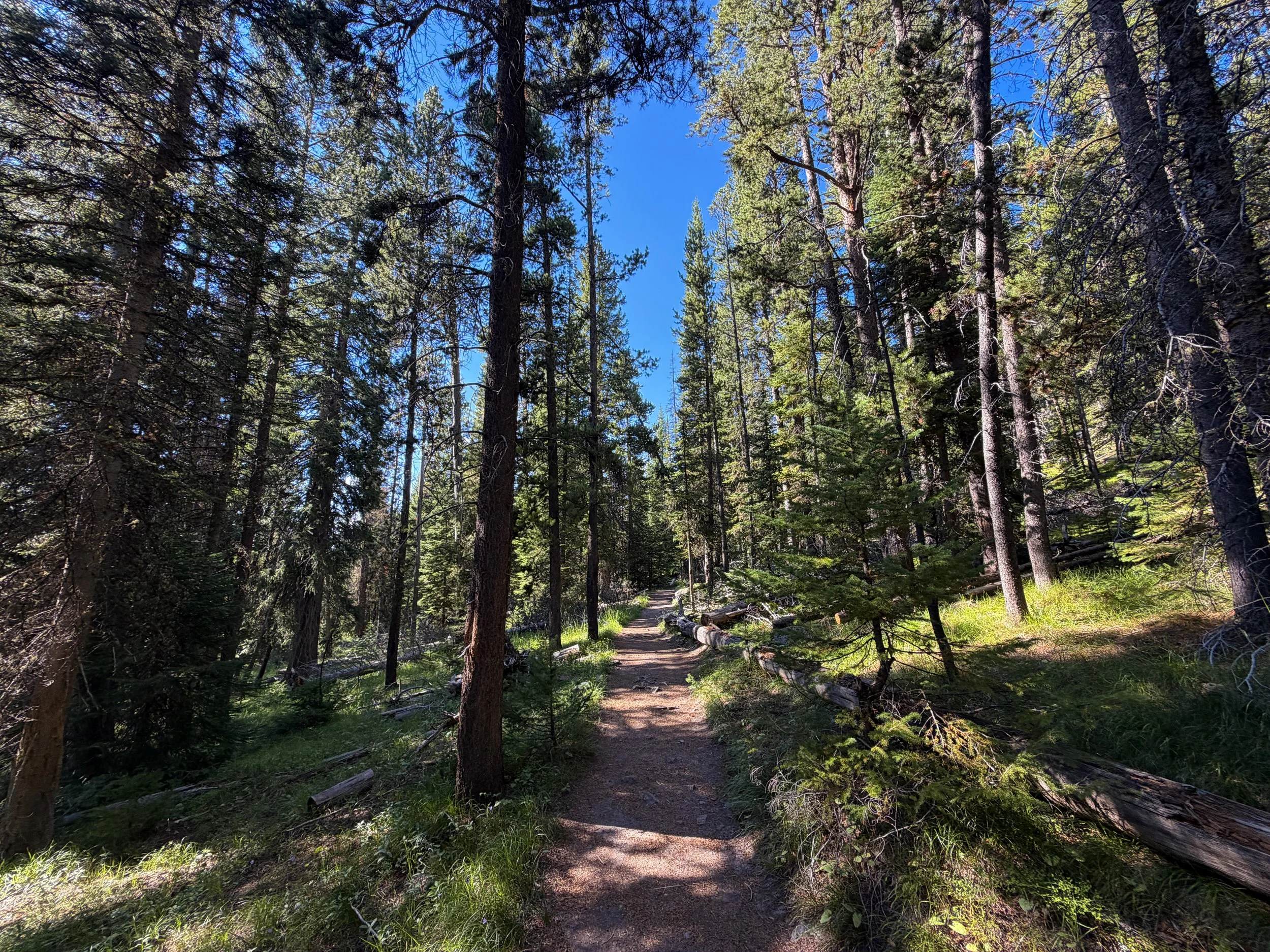 Observation Point Trail Yellowstone National Park Wyoming