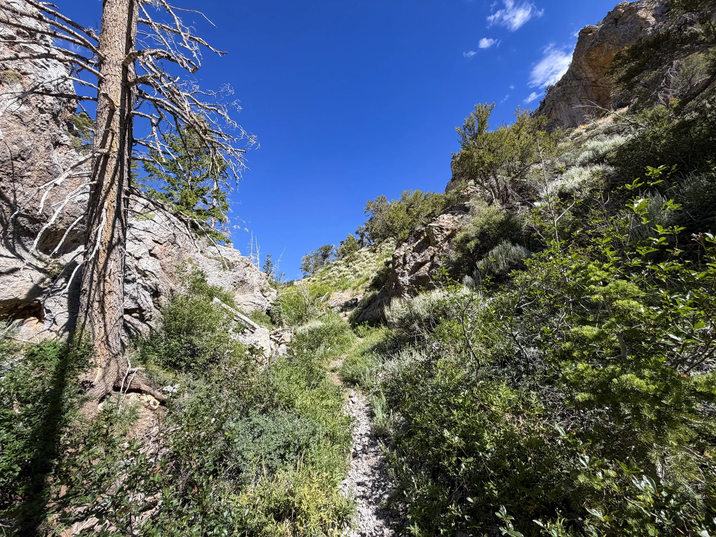 Lexington Arch Trail Great Basin National Park Nevada